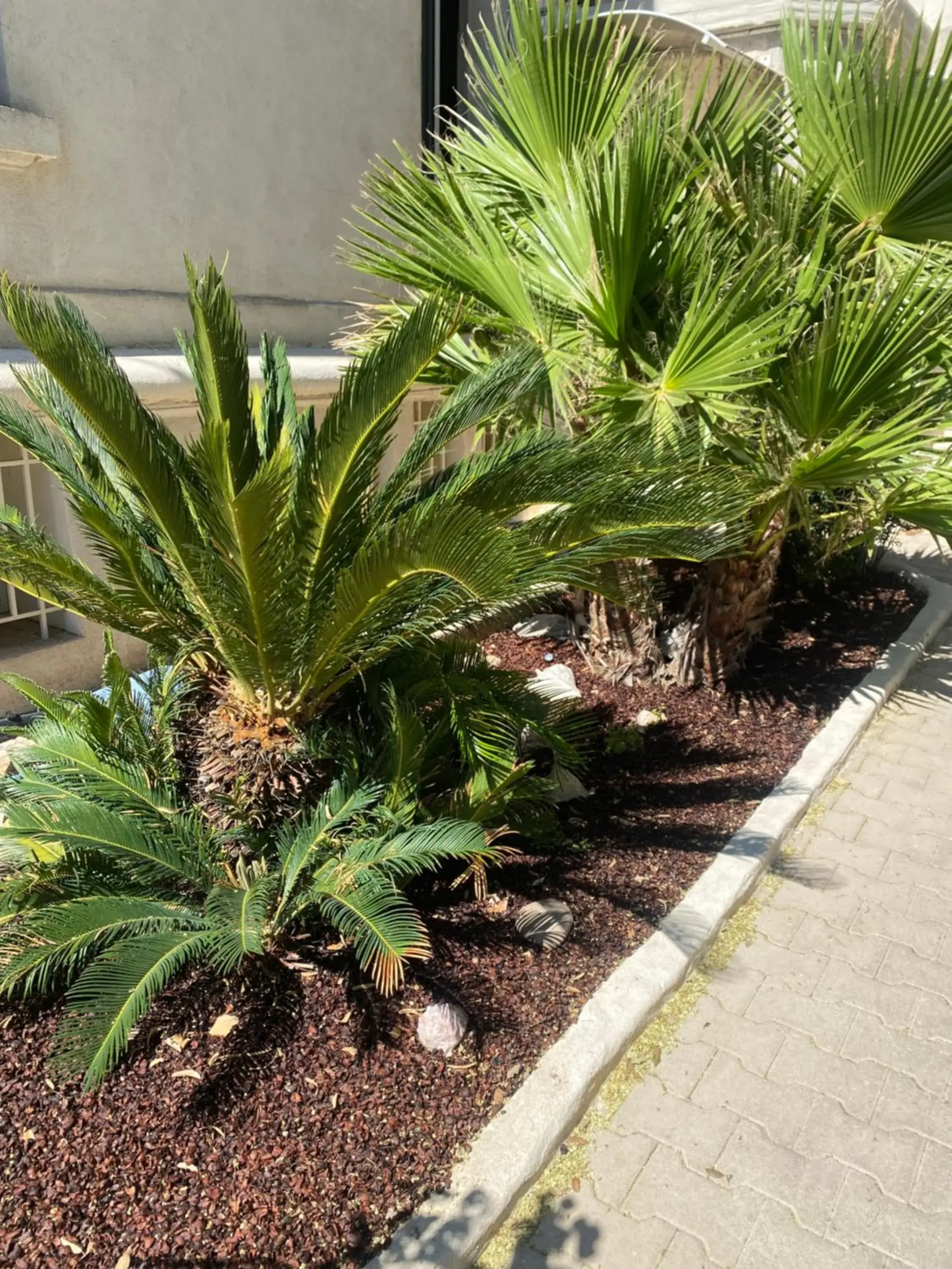 Casa Cacao près plage et vélodrome Casa Cacao près plage et vélodrome