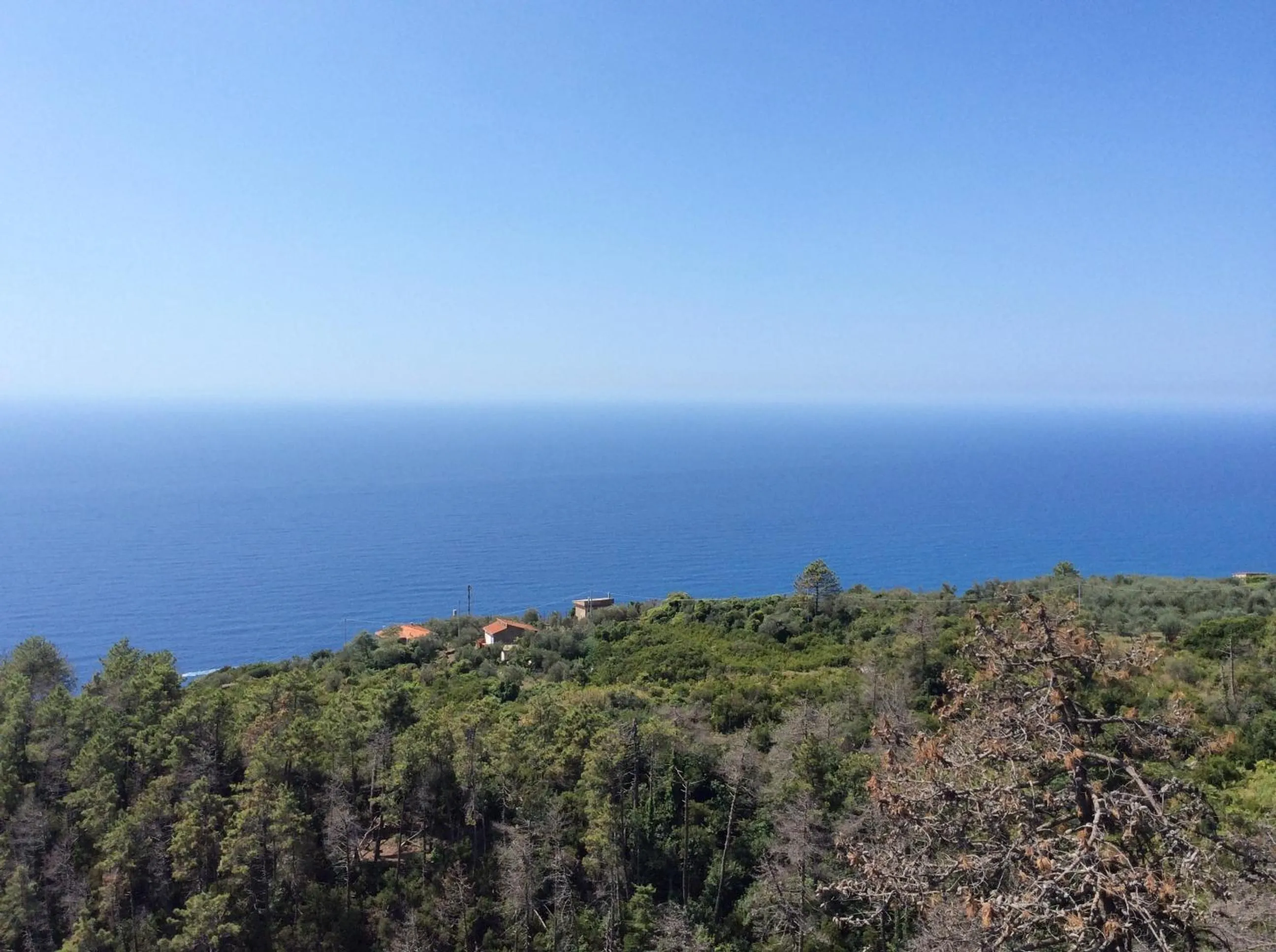 Sea view in Hotel Due Gemelli