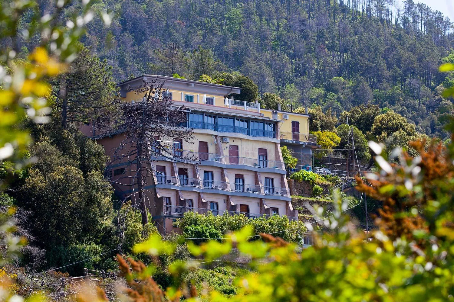 Property building in Hotel Due Gemelli