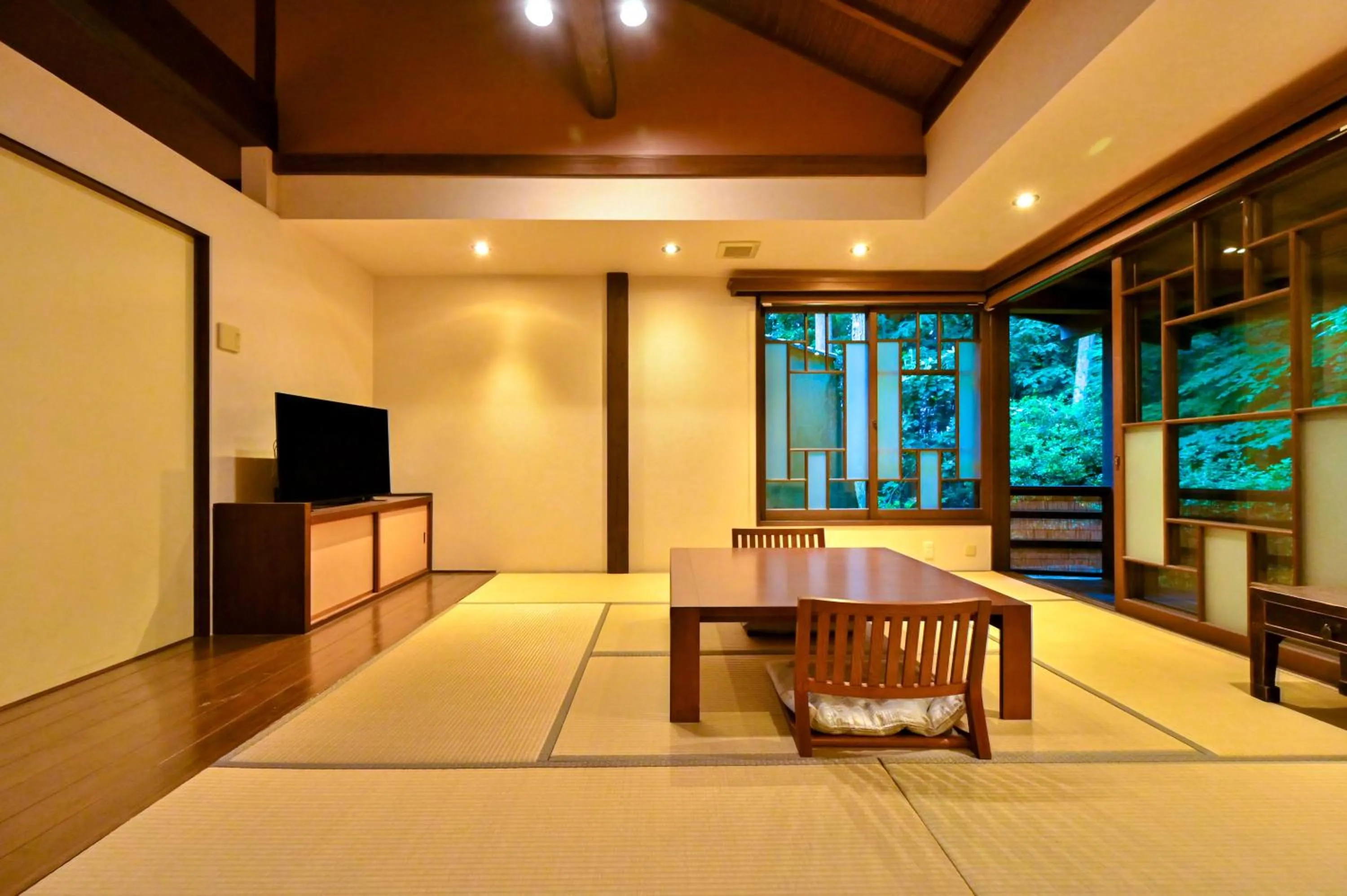 Living room in Ikkoten