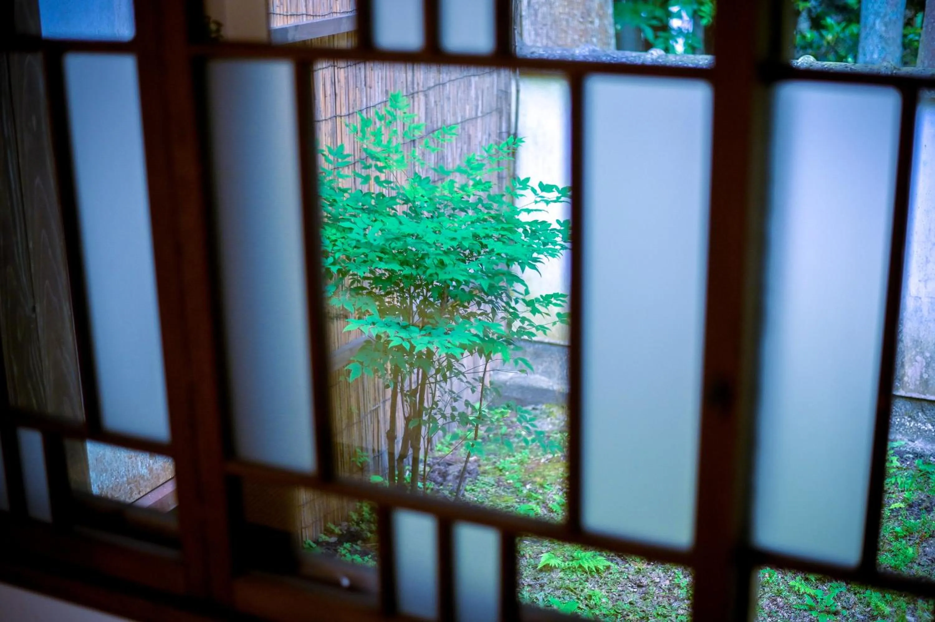 View (from property/room) in Ikkoten