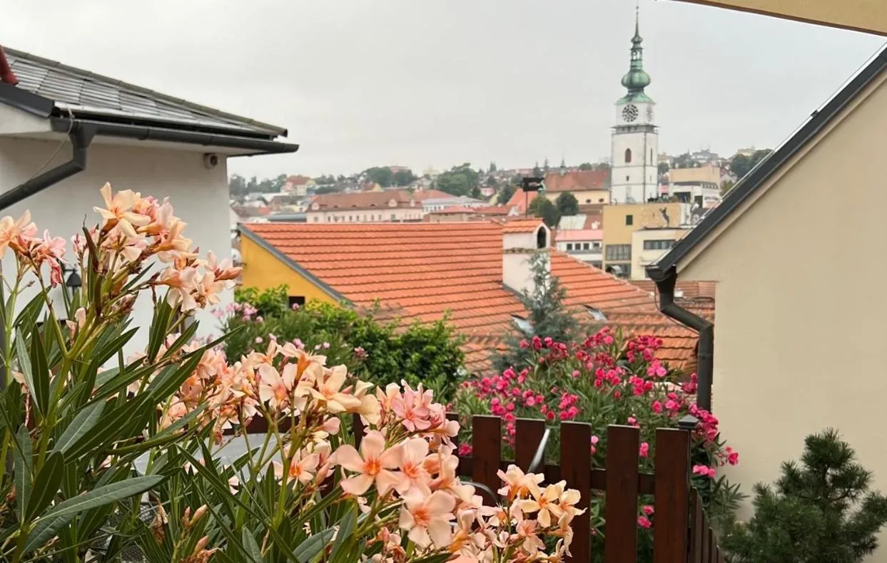 Property building in Hotel Joseph 1699