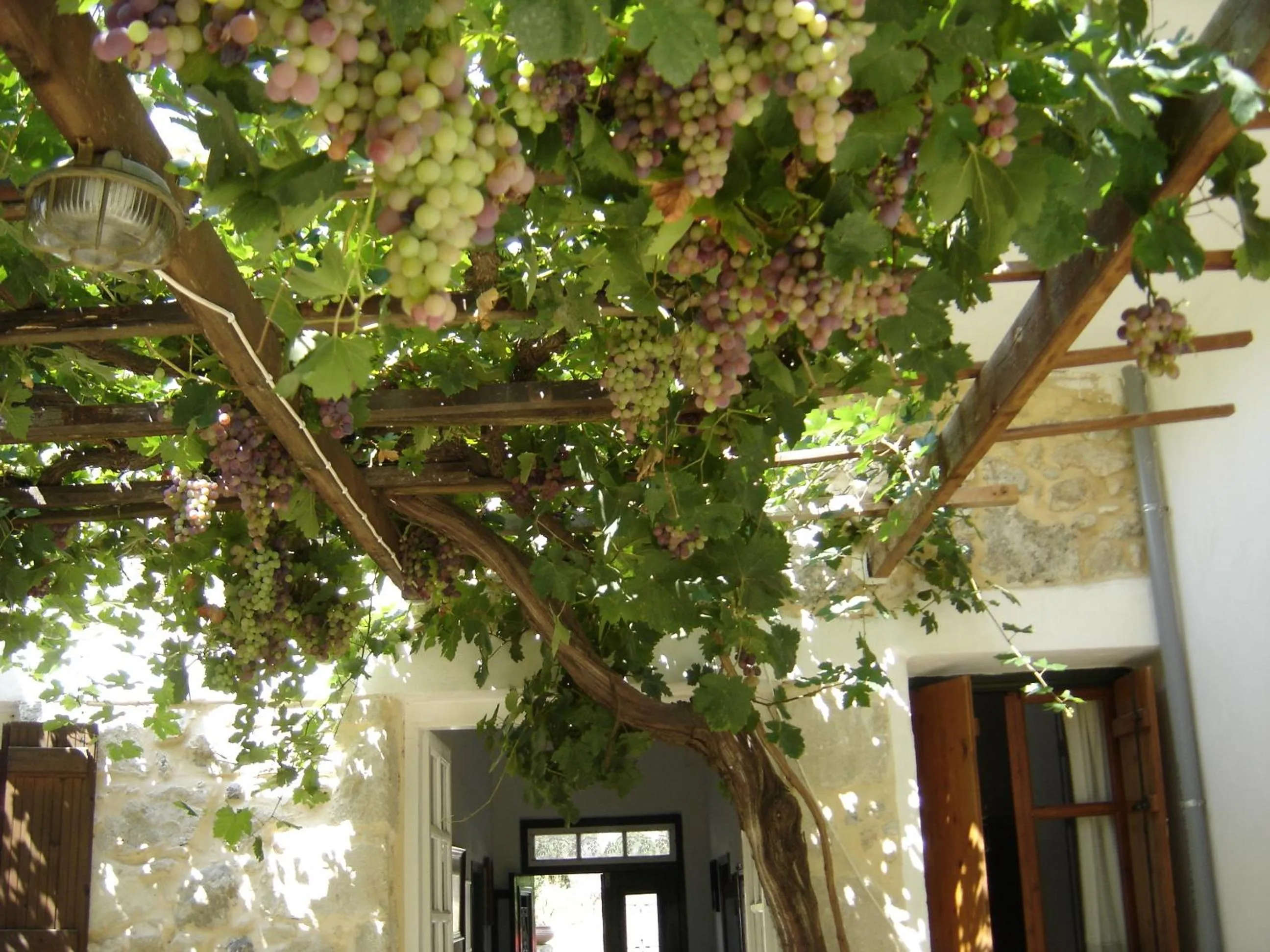 Balcony/Terrace in Hariklia Rent Rooms