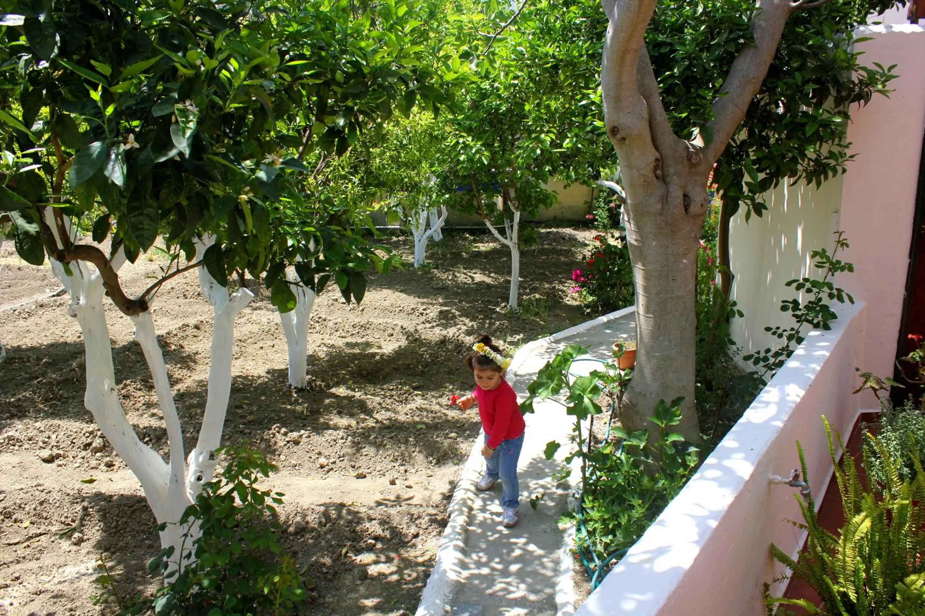 Garden in Hariklia Rent Rooms