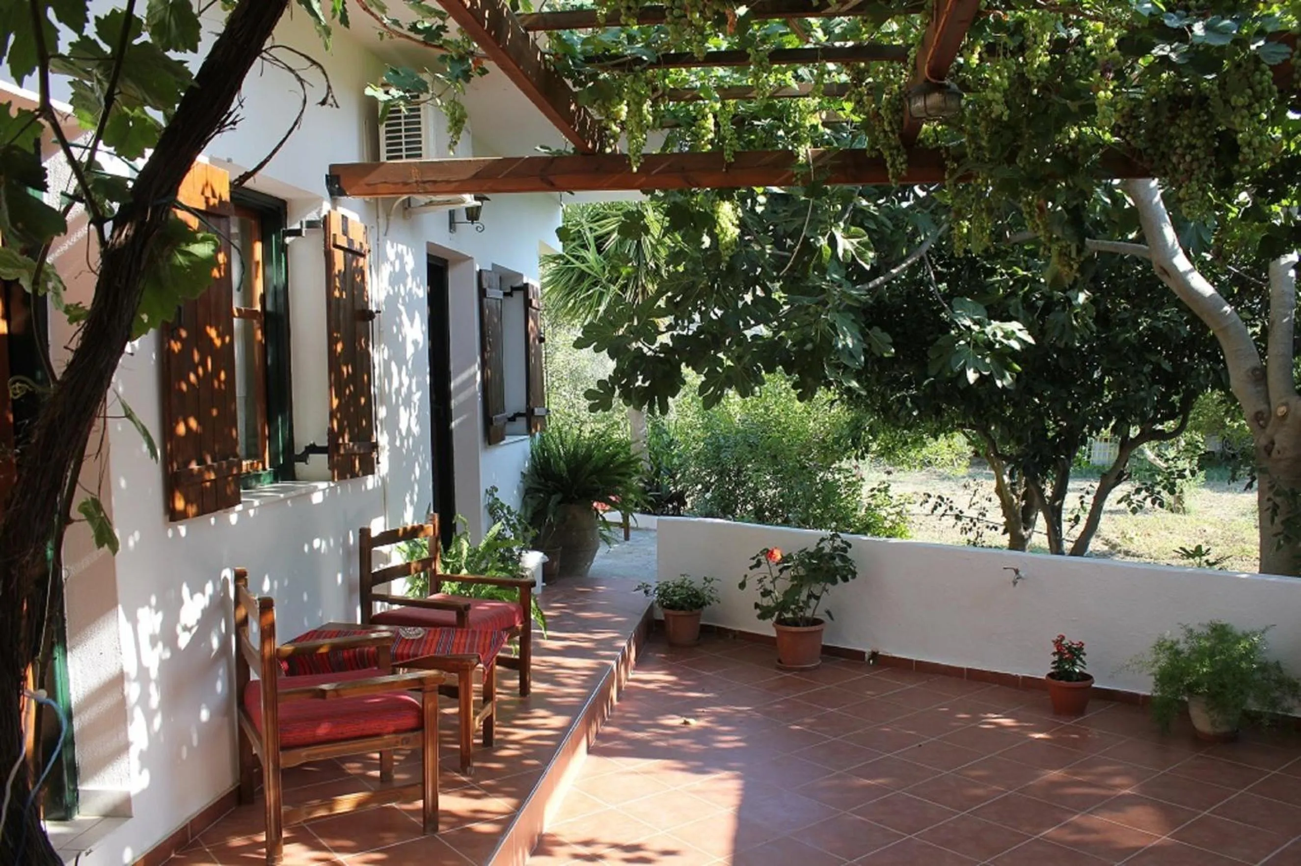 Spring in Hariklia Rent Rooms