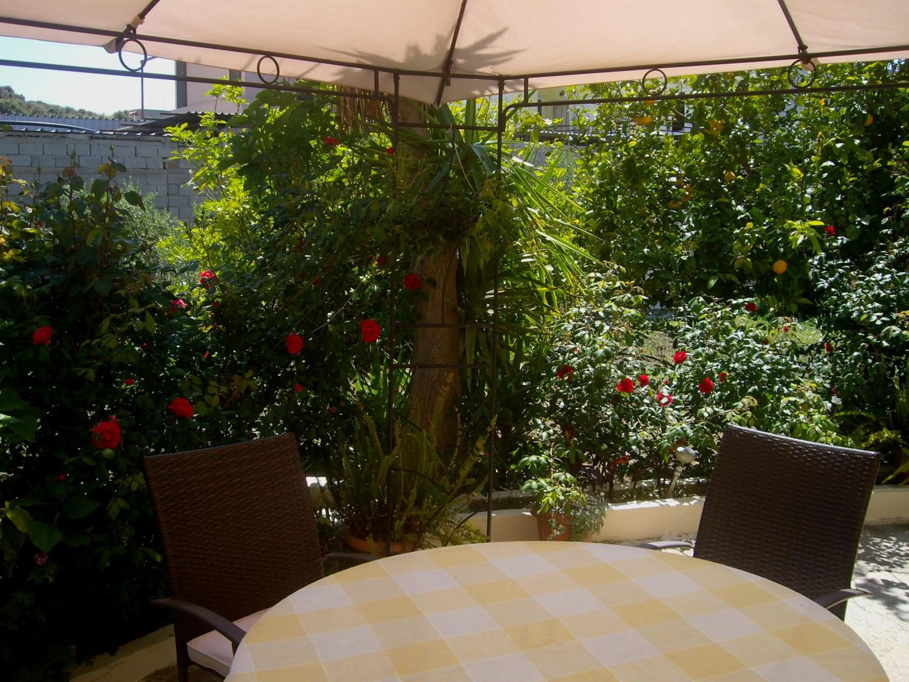 Garden in Hariklia Rent Rooms