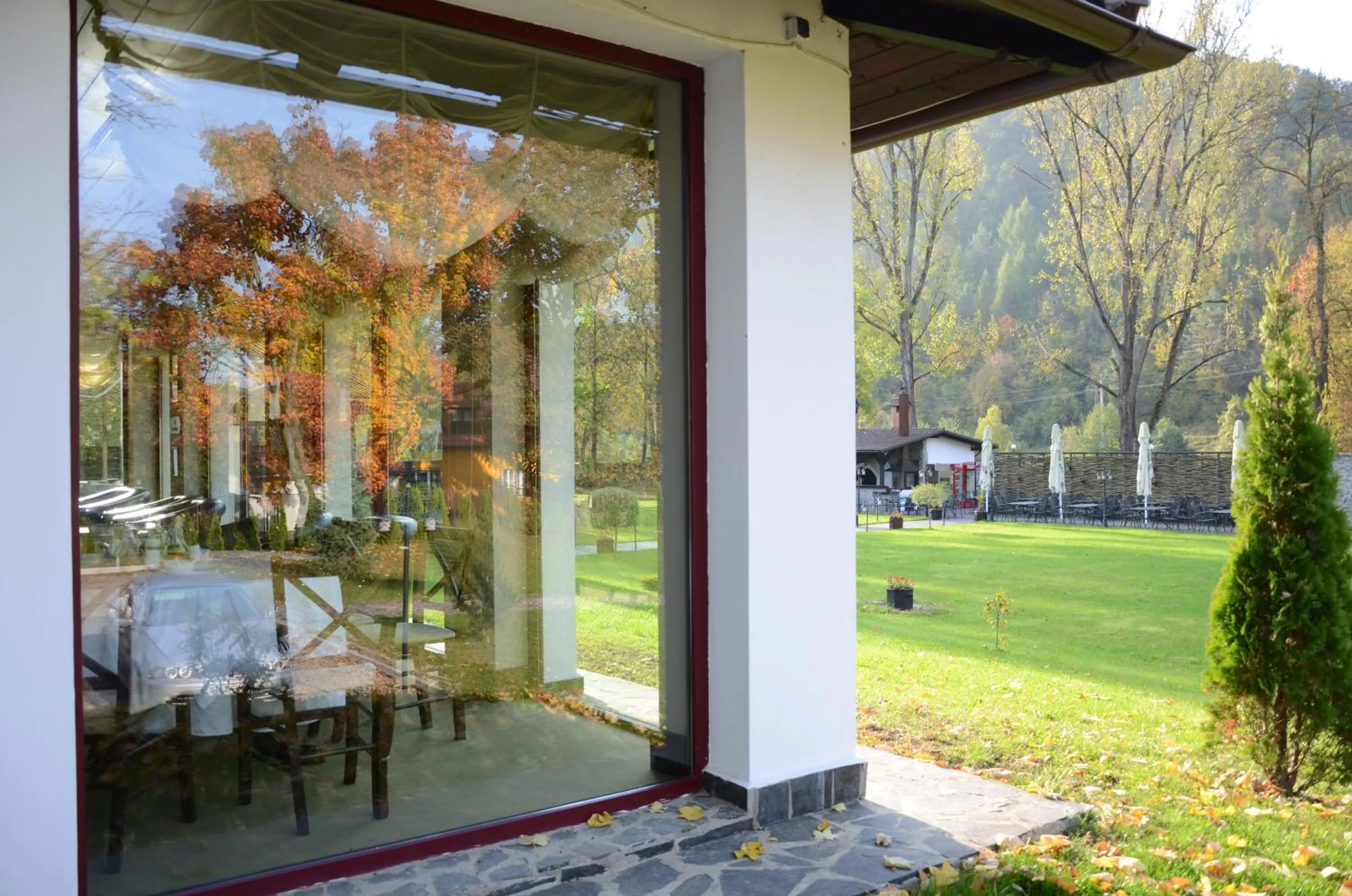 Garden in Hotel Gradina Morii