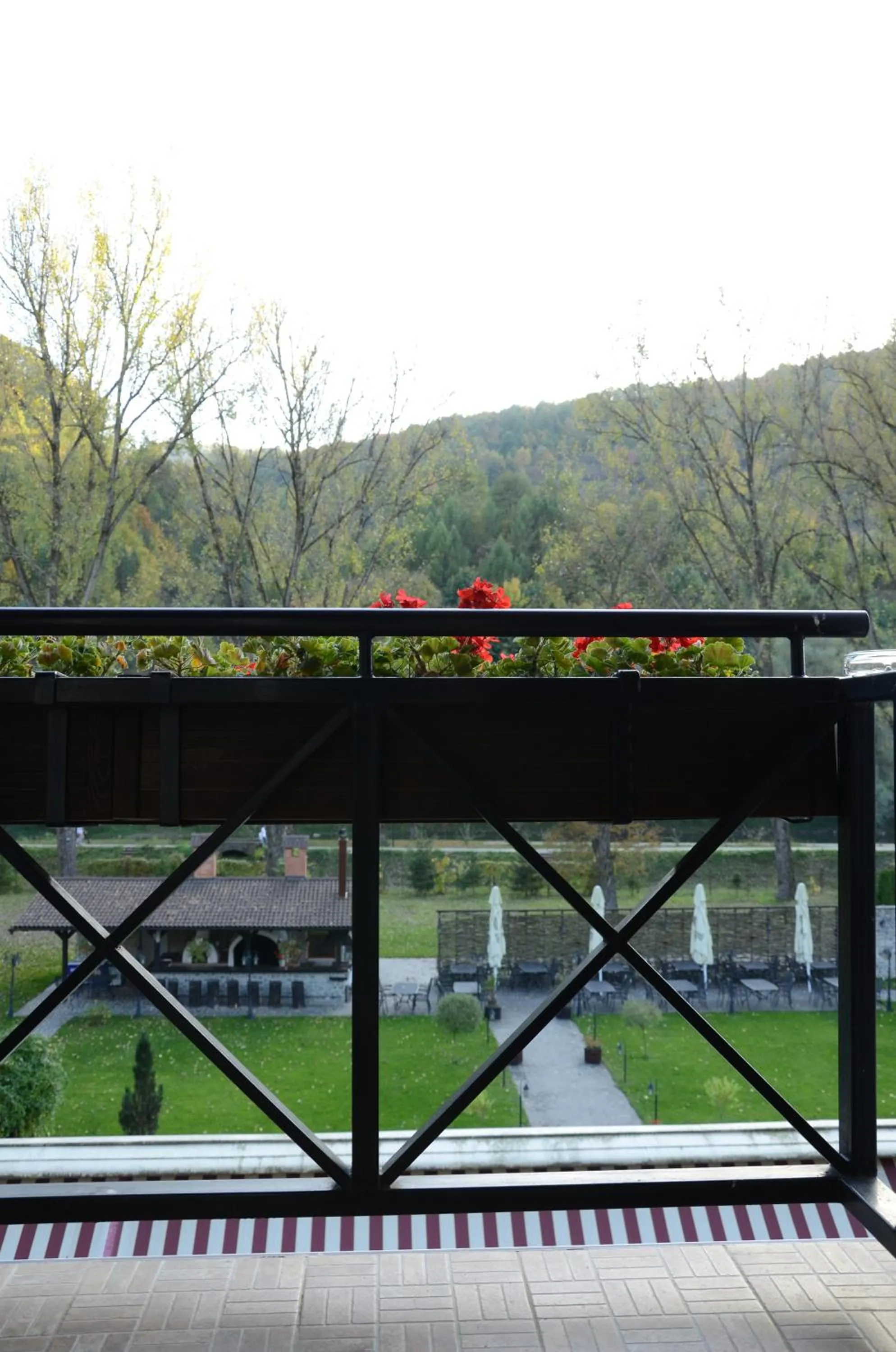 Balcony/Terrace in Hotel Gradina Morii