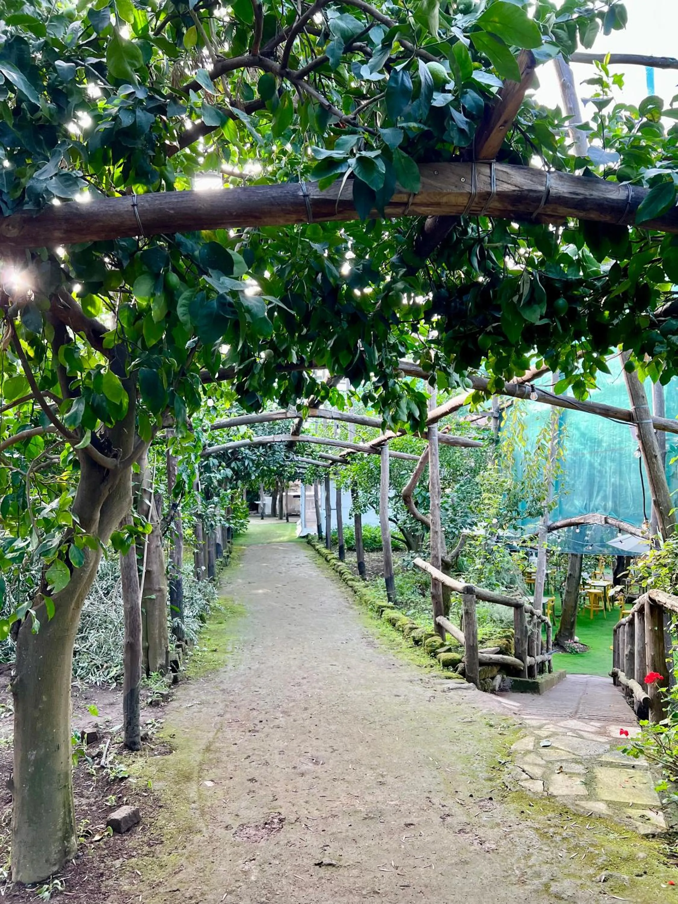 Garden in Relais Correale Rooms & Garden