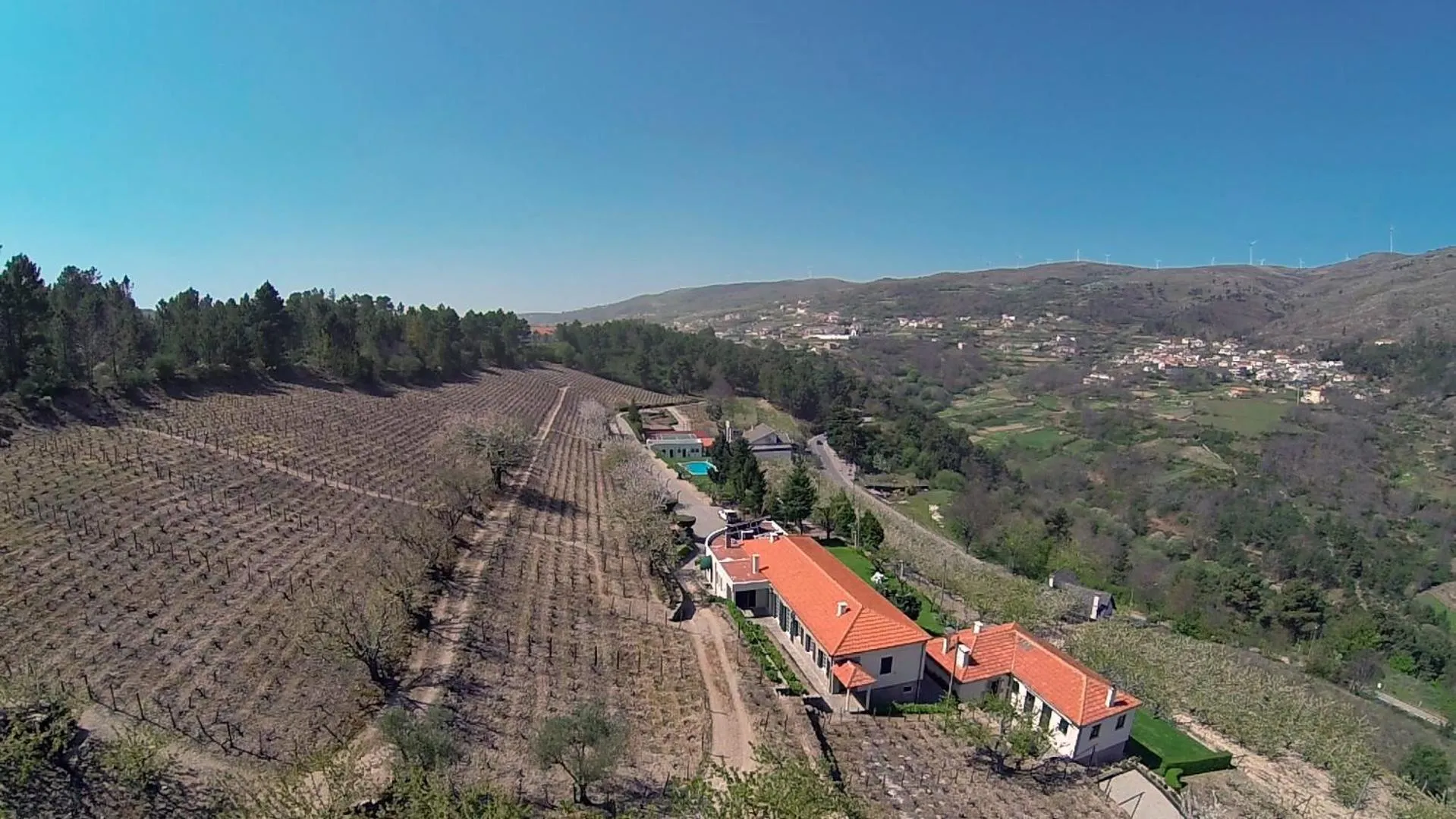Bird's eye view in Quinta da Timpeira