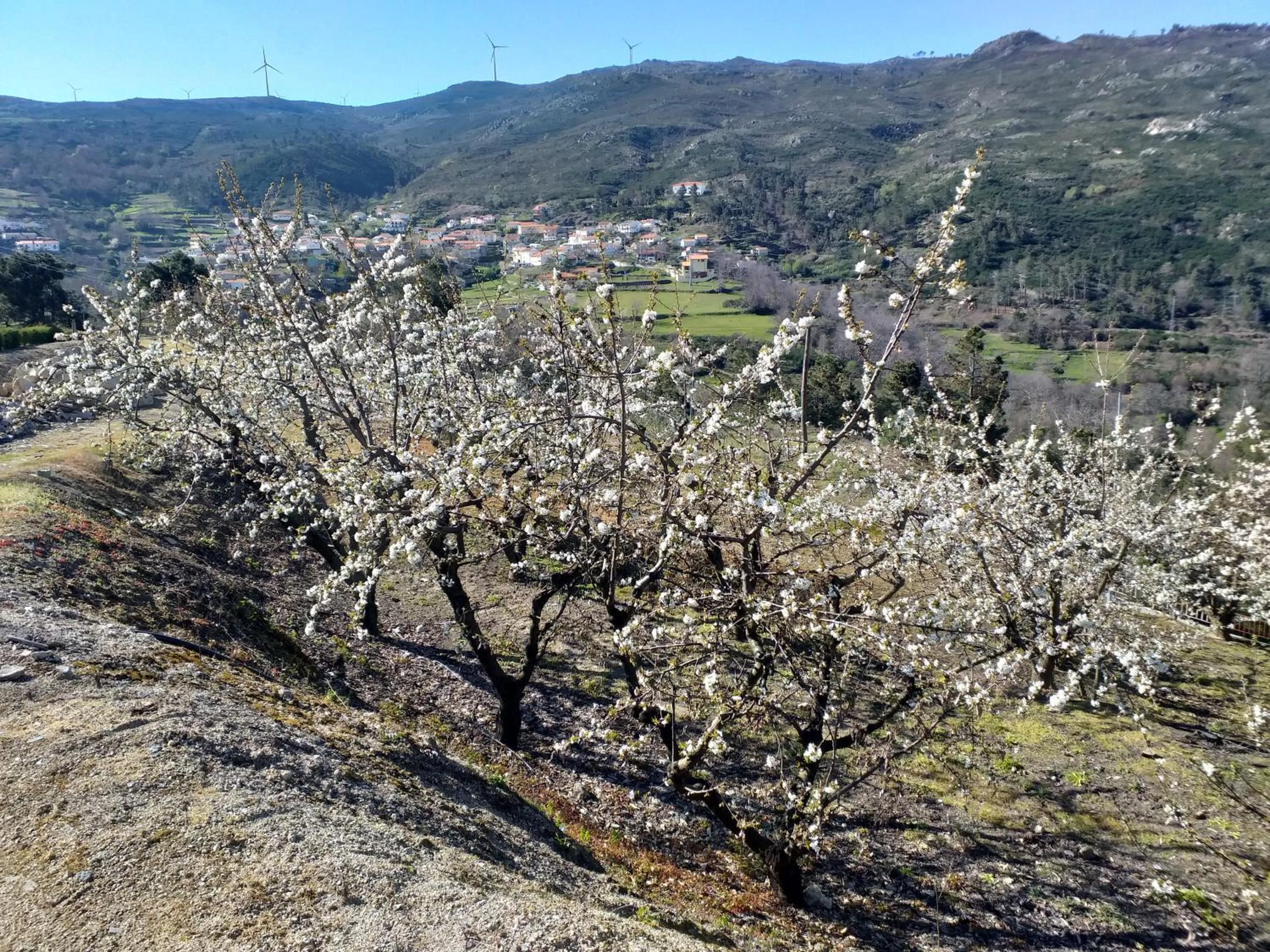 Natural landscape in Quinta da Timpeira