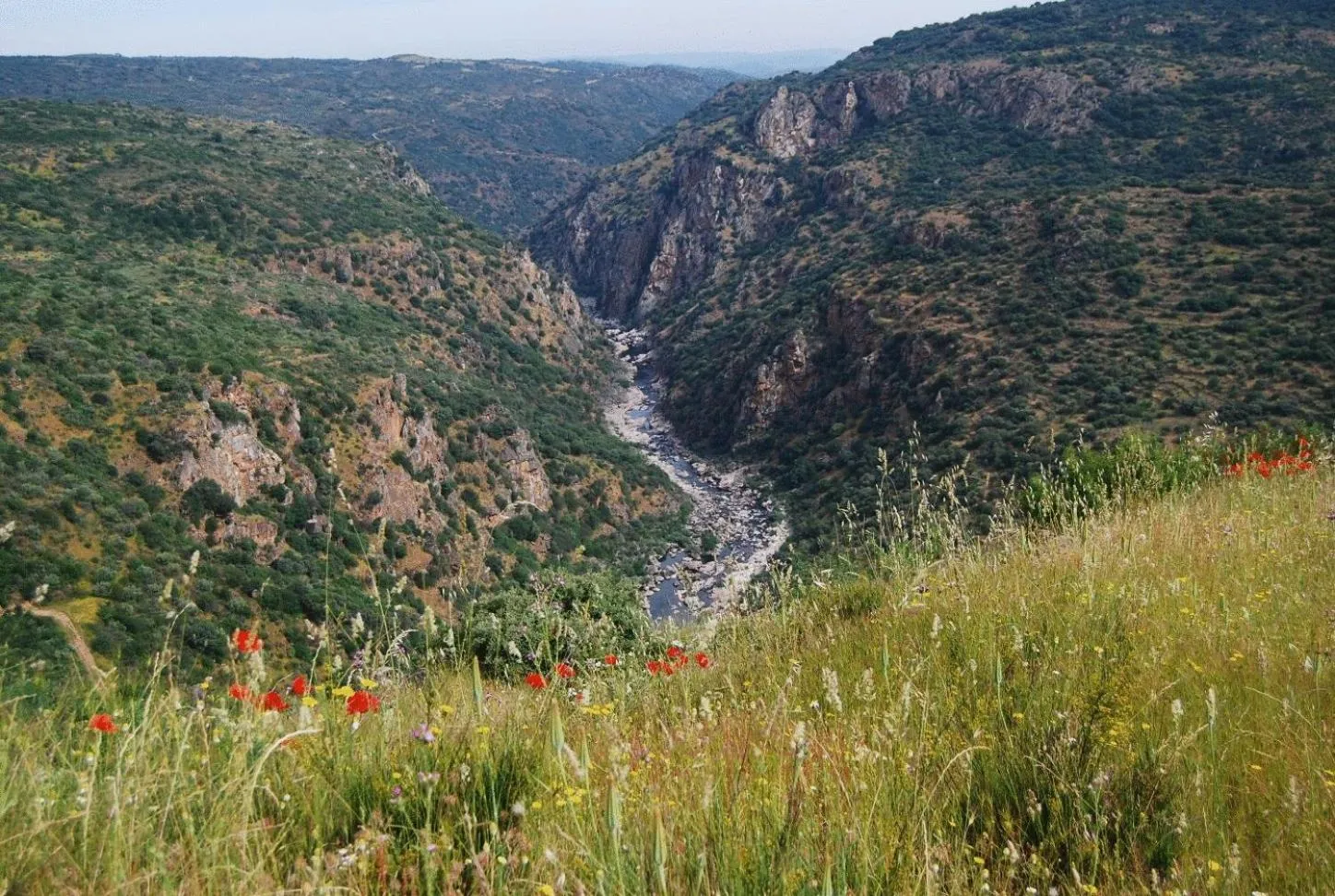 Nearby landmark in Casa da Cisterna
