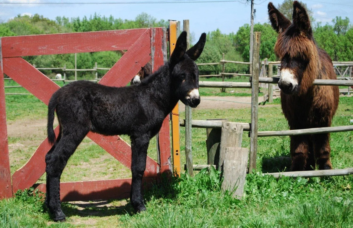 Day in Casa da Cisterna