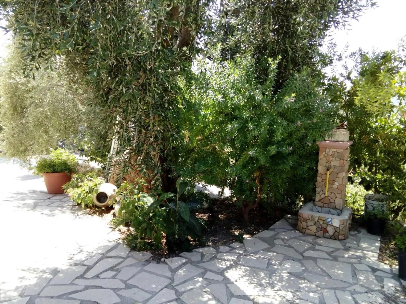 Borgo Degli Ulivi Rooms