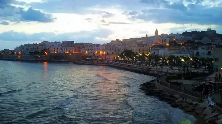 Borgo Degli Ulivi Rooms