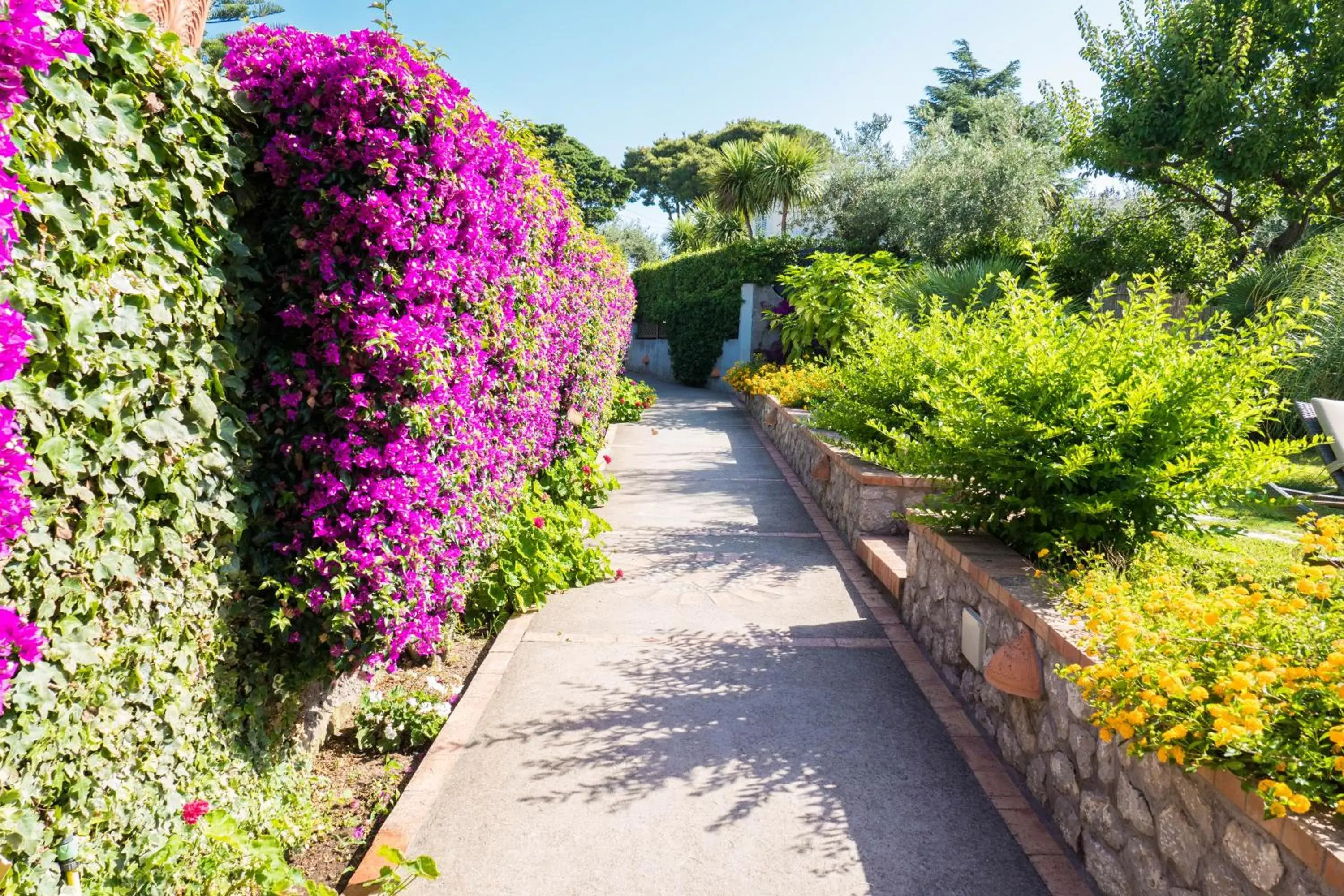 Standard Double or Twin Room with Garden View - single occupancy in Hotel Villa Ceselle Standard Double or Twin Room with Garden View - single occupancy in Hotel Villa Ceselle