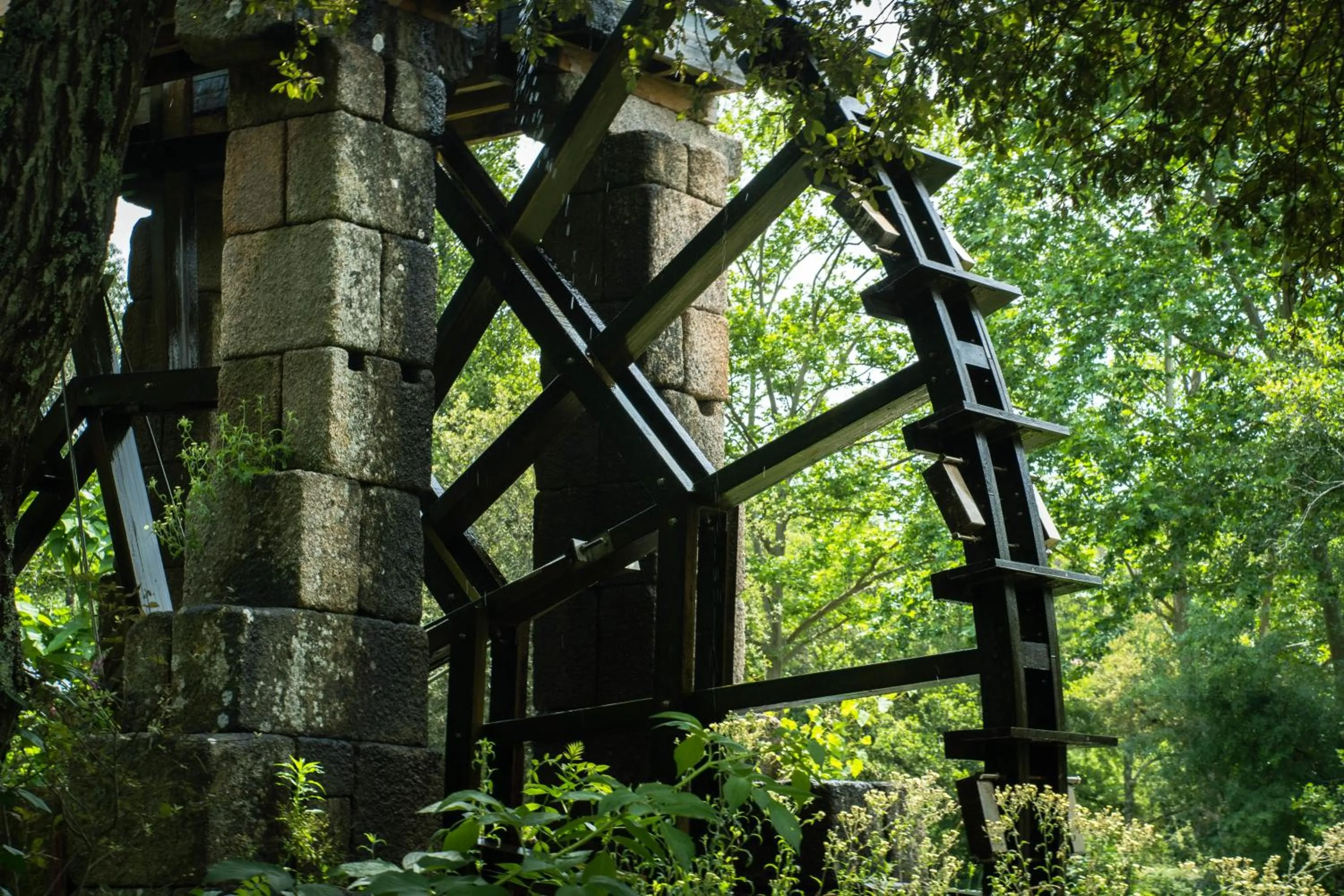 Neighbourhood in Hotel Do Parque - Congress & SPA