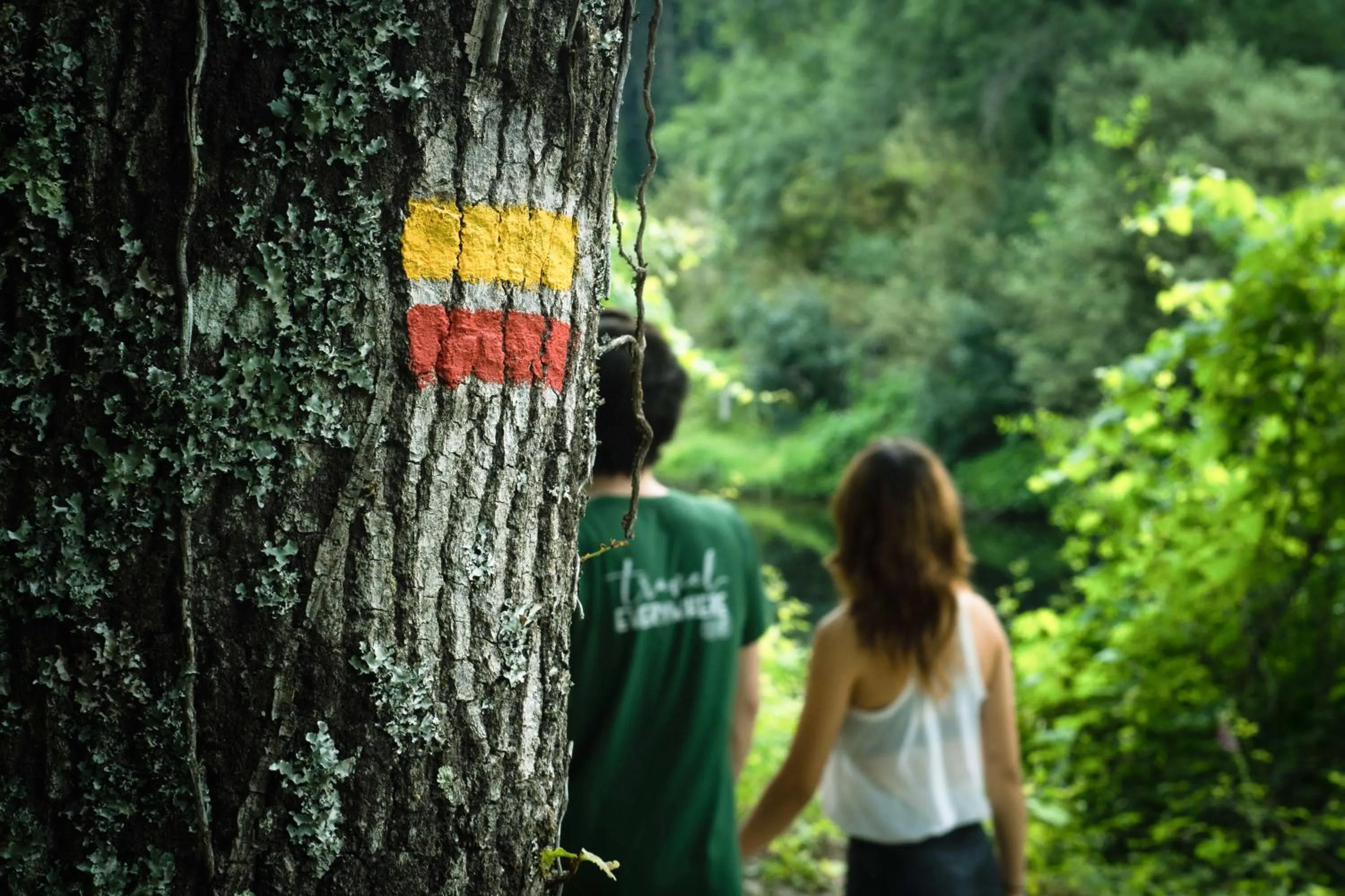 Hiking in Hotel Do Parque - Congress & SPA