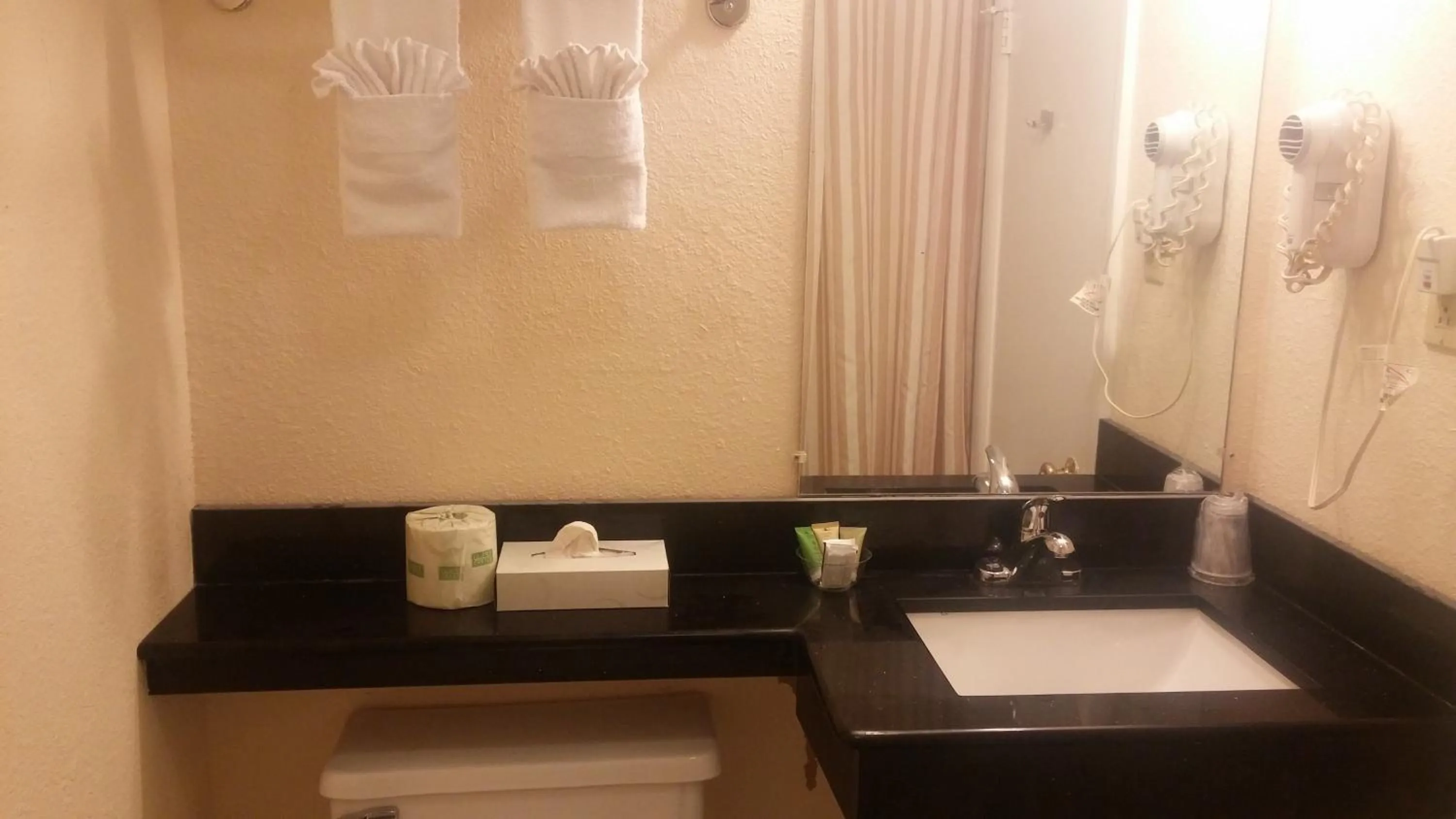 Bathroom in Anchorage Inn Rochester