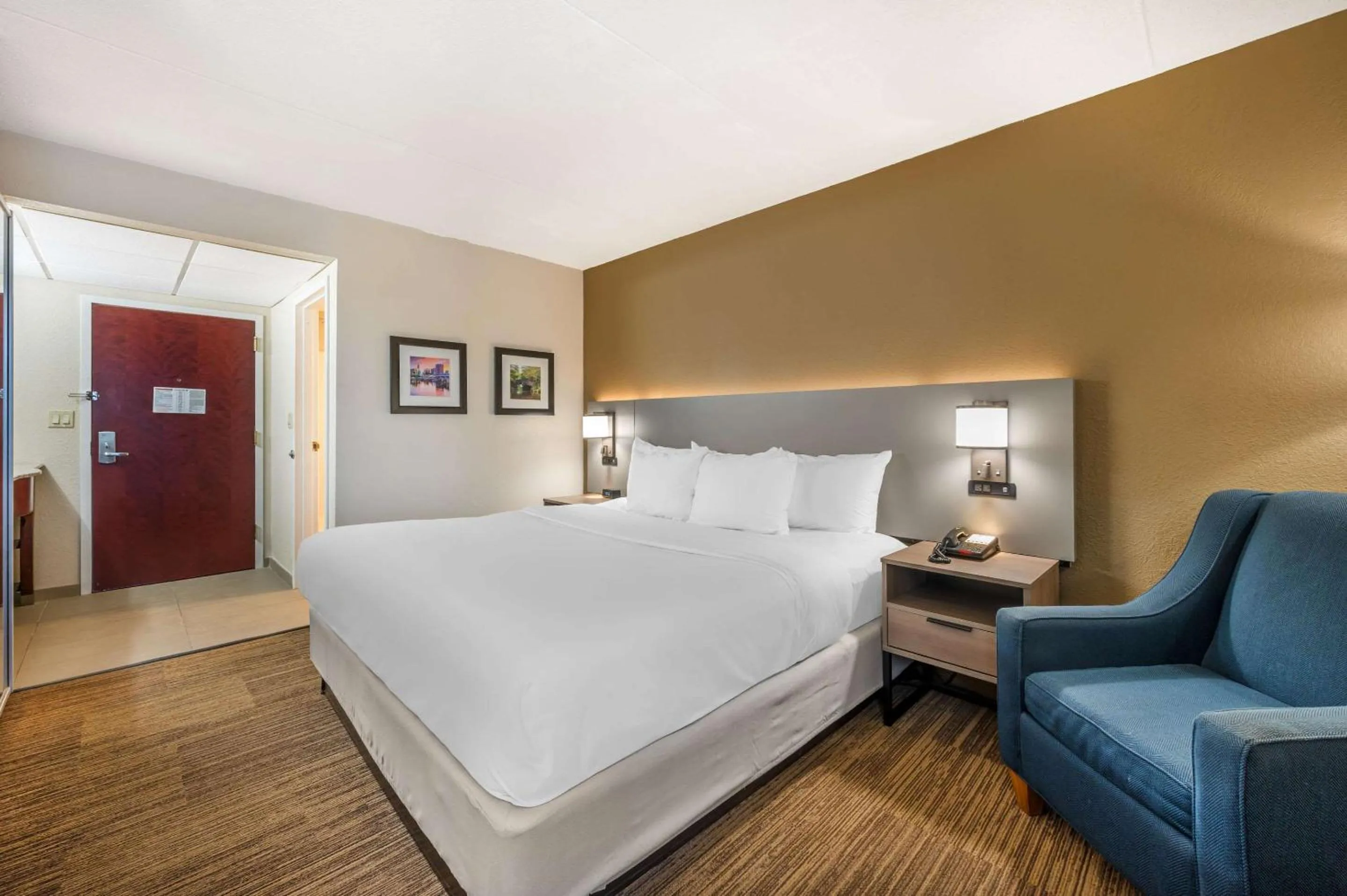 Bedroom, Bed in Comfort Inn & Suites East Hartford - Hartford