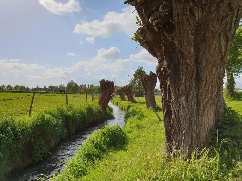 Neighbourhood, Garden in Spacious Apartment near Town Center in Mesch