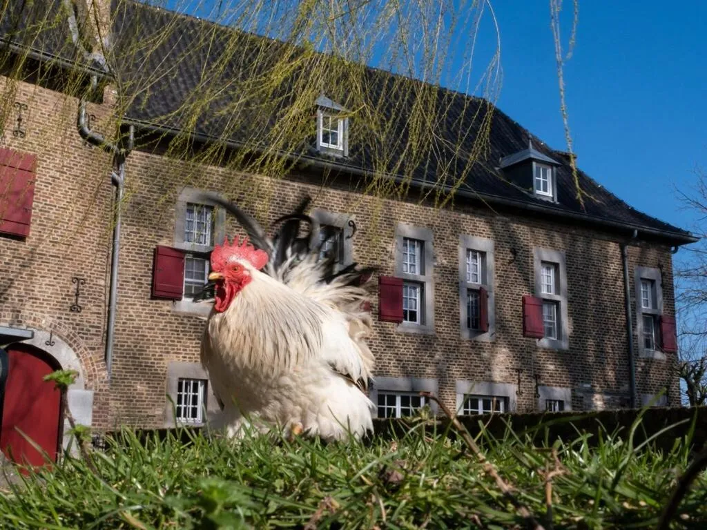 Neighbourhood in Spacious Apartment near Town Center in Mesch