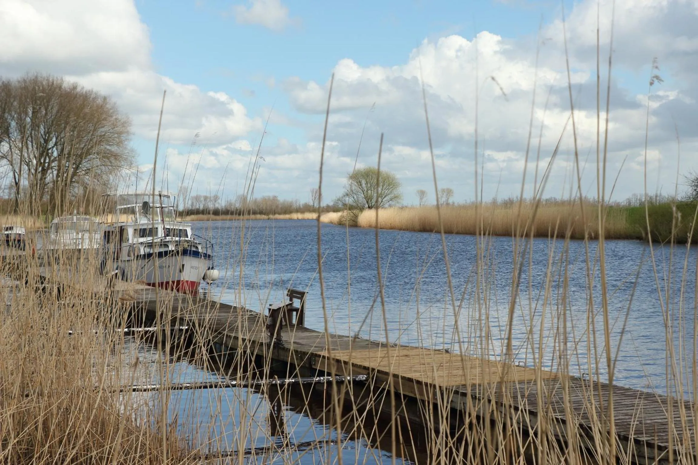 Natural landscape in Hotel Zur Linde