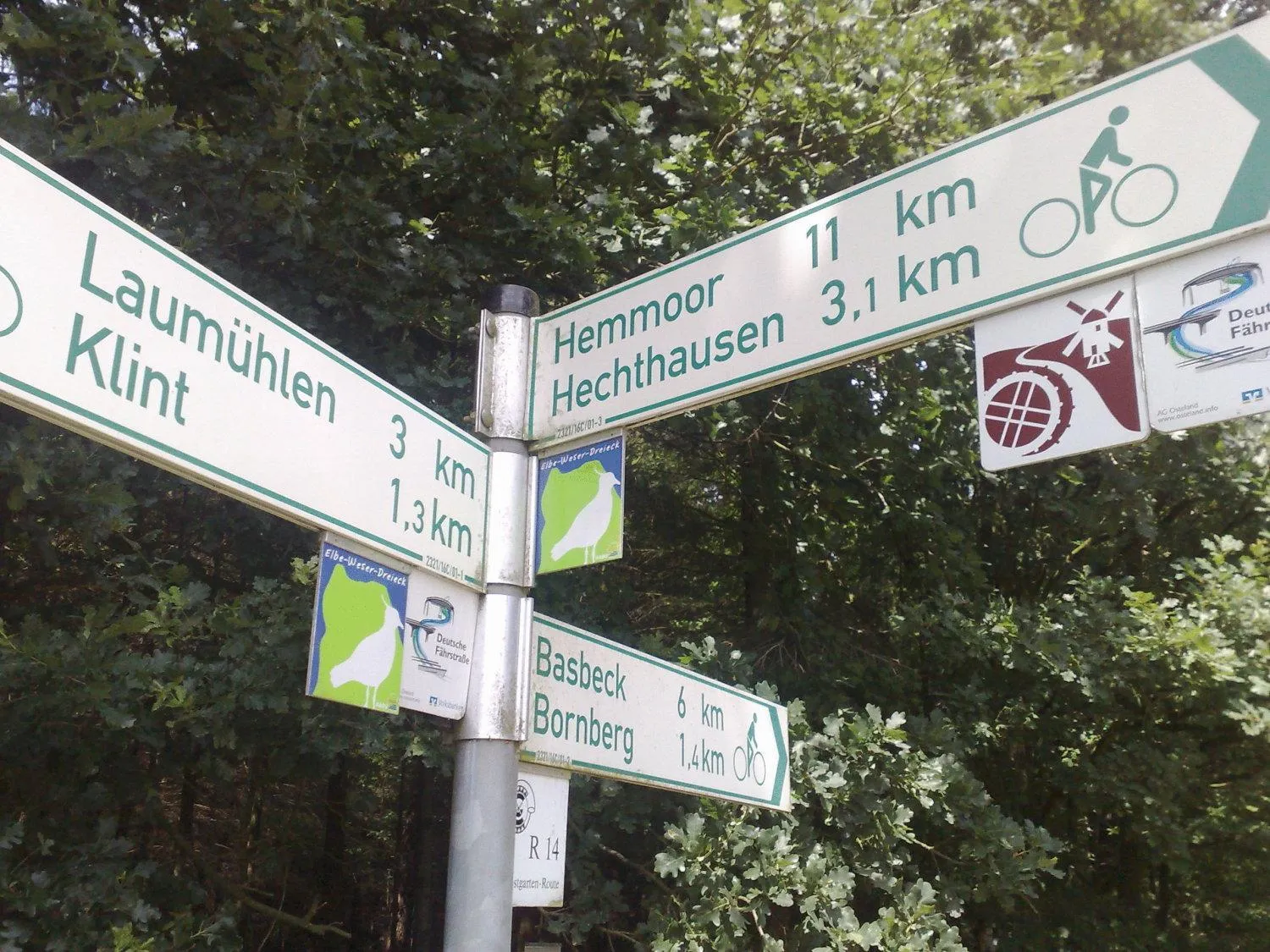 Cycling in Hotel Zur Linde