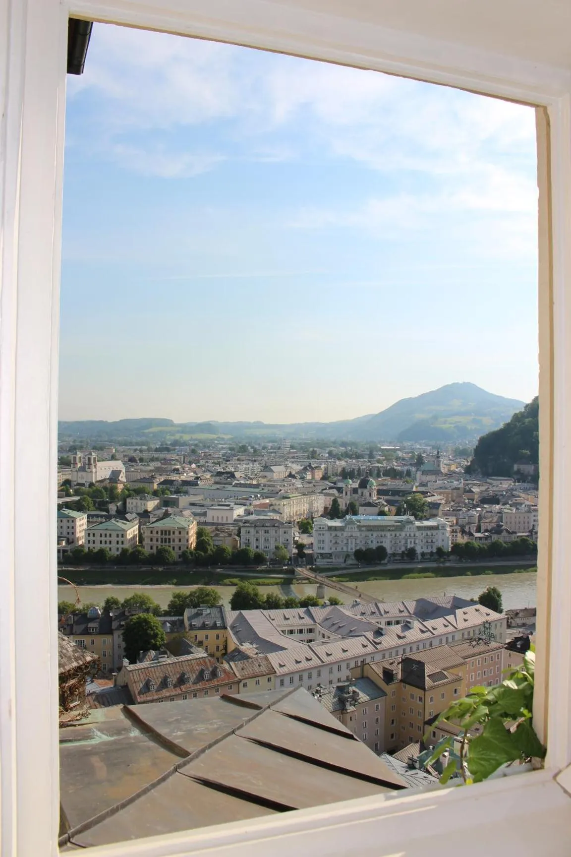View (from property/room) in Stadtalm Naturfreundehaus