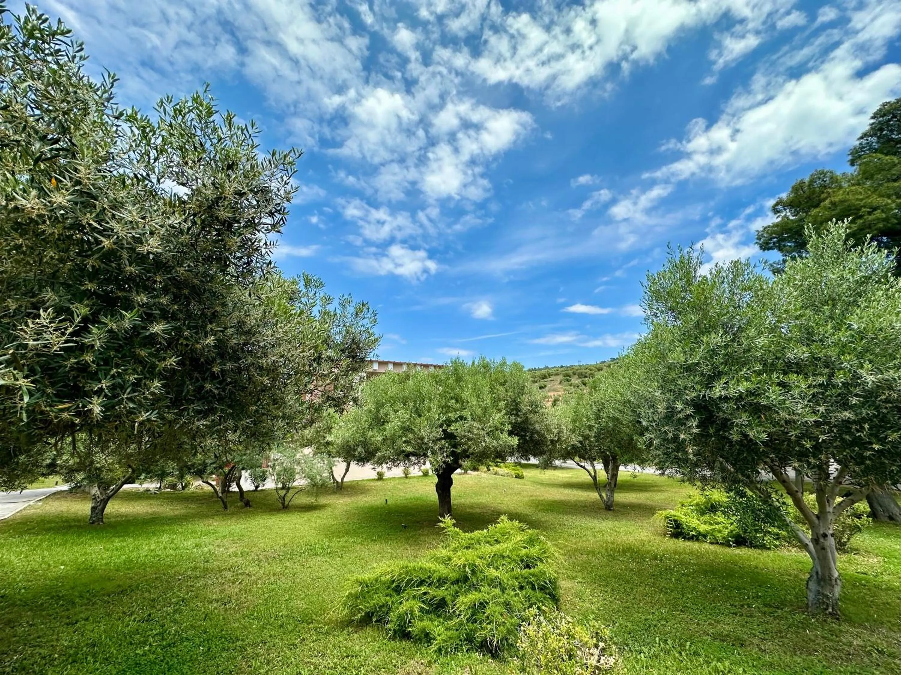 Day in Agrili Apartments & Rooms