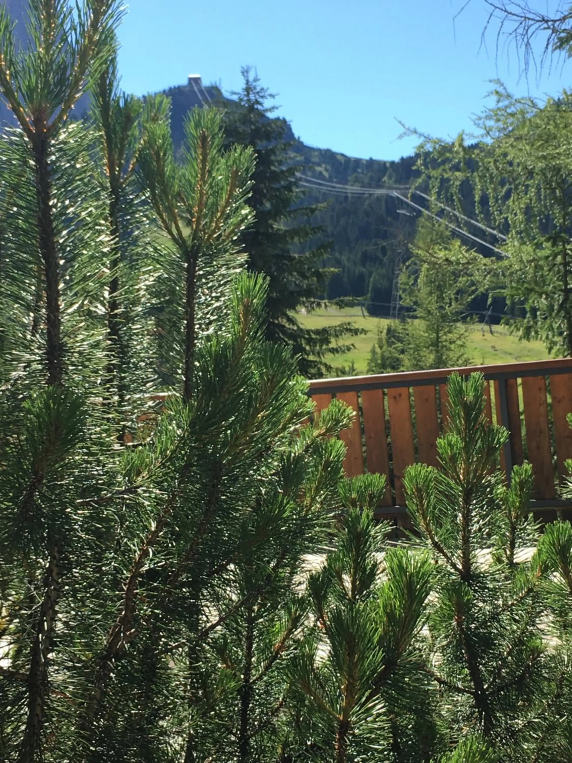 Balcony/Terrace in Hotel Meisules