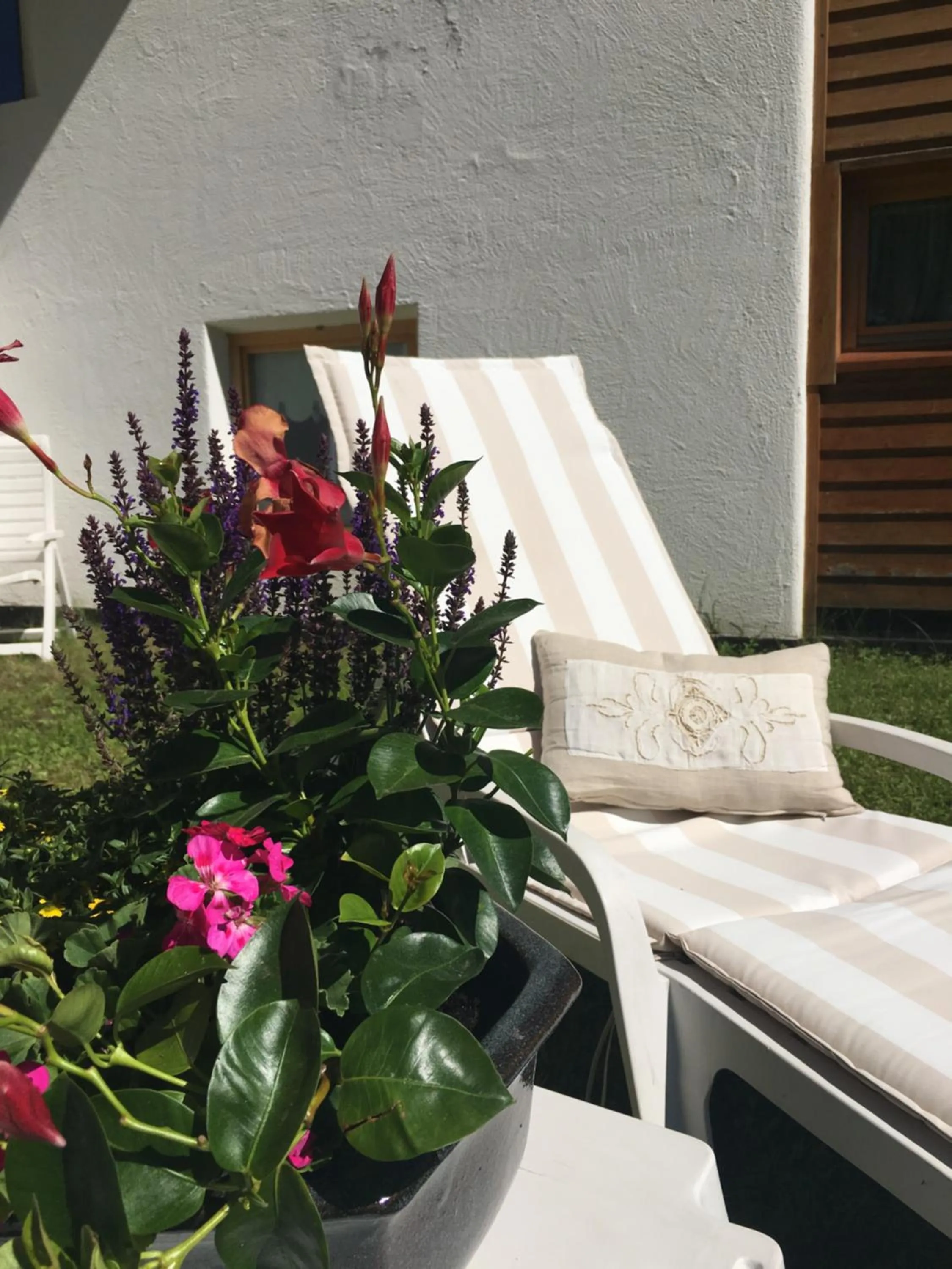 Garden in Hotel Meisules