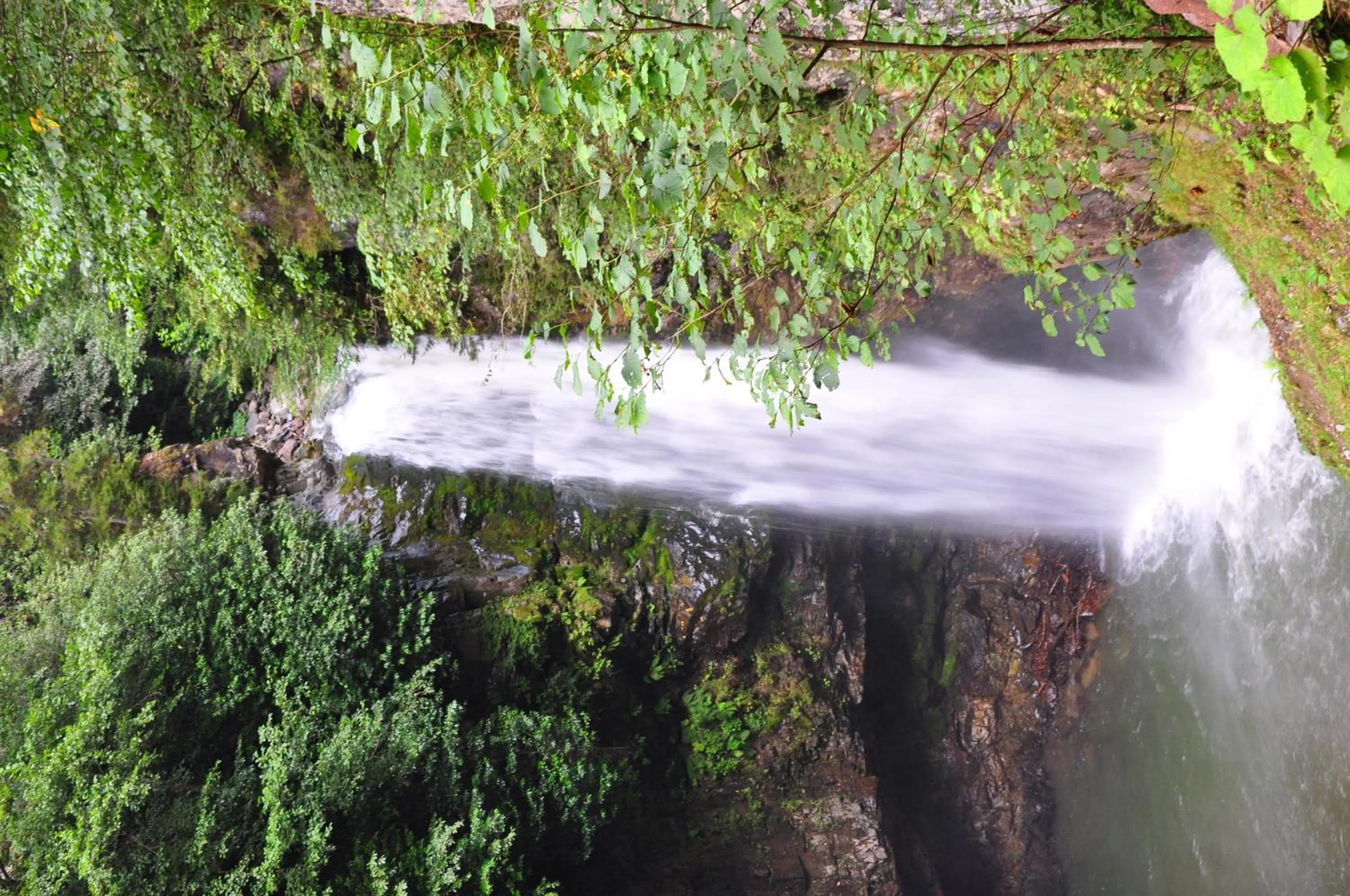 View (from property/room) in Ayder Hasimoglu Hotel