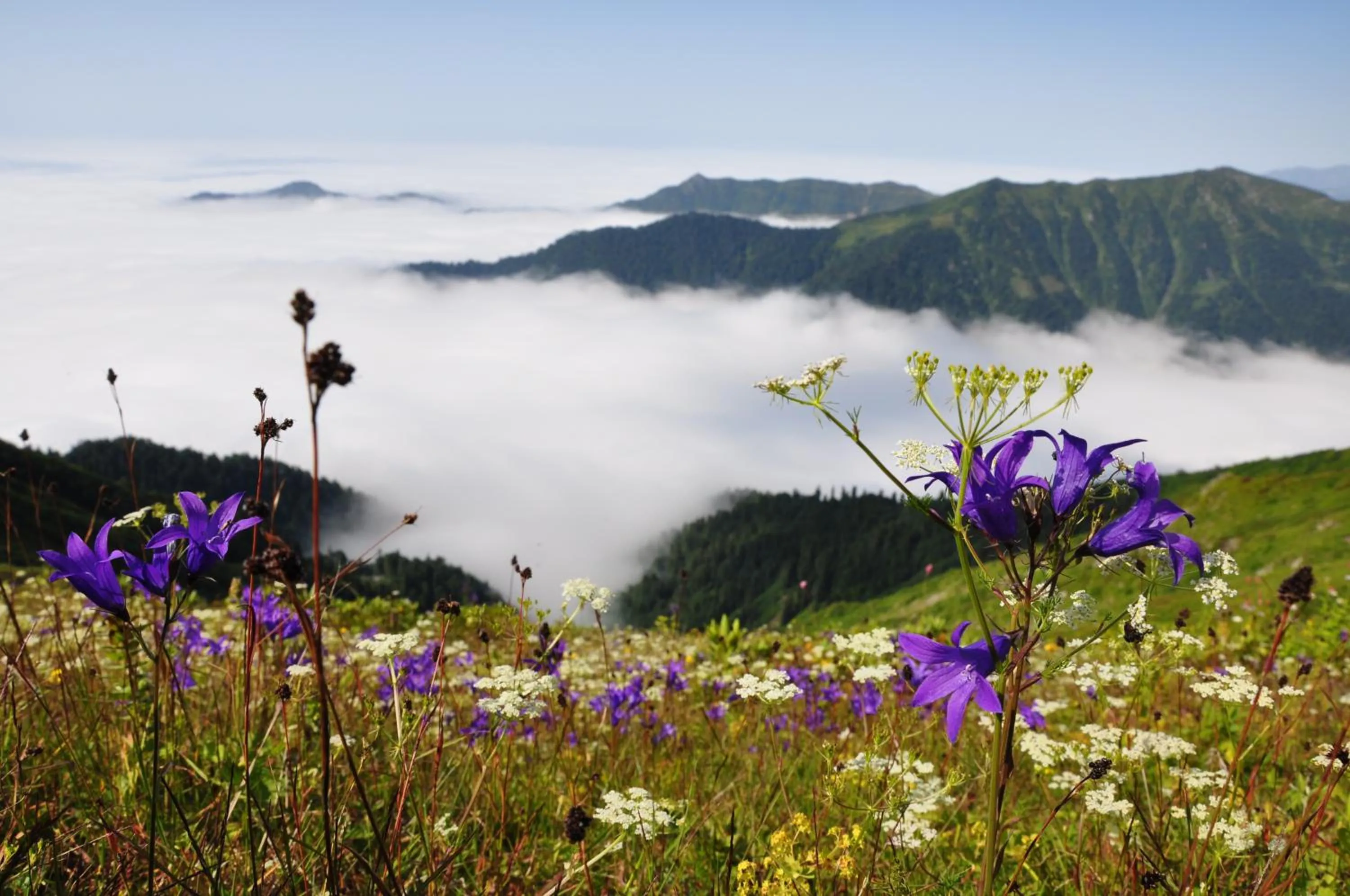 Spring in Ayder Hasimoglu Hotel
