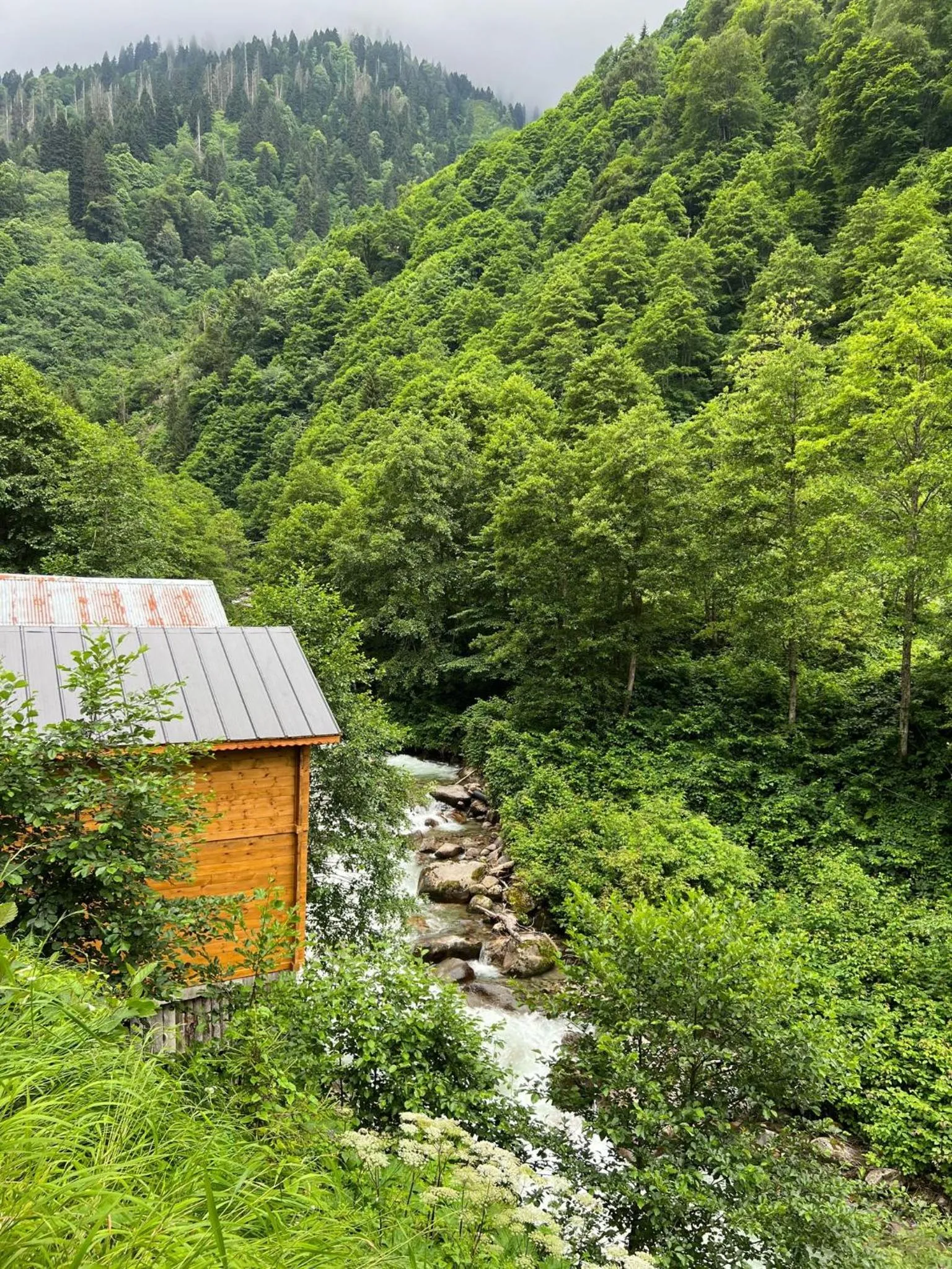 Ayder Hasimoglu Hotel