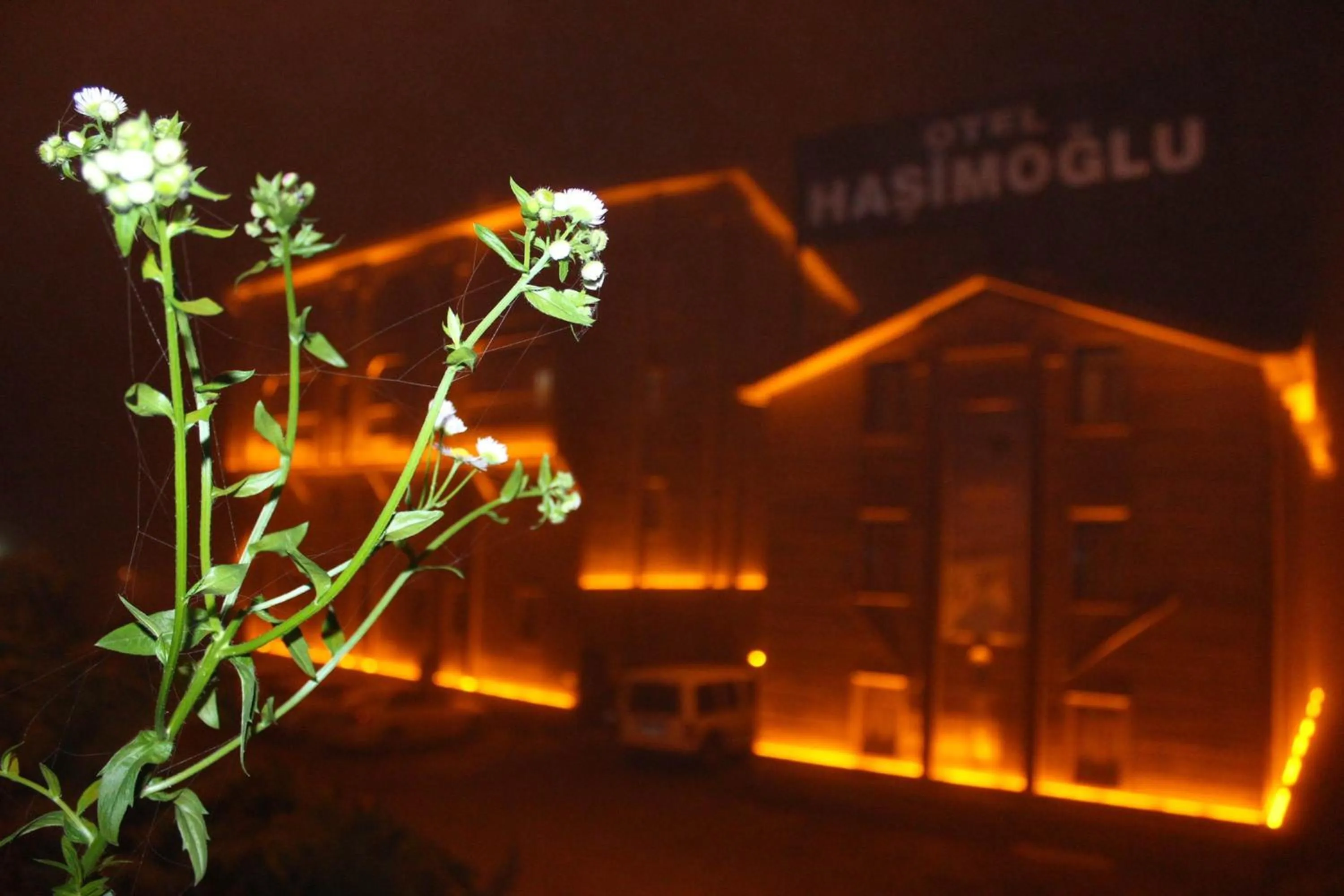Facade/entrance in Ayder Hasimoglu Hotel