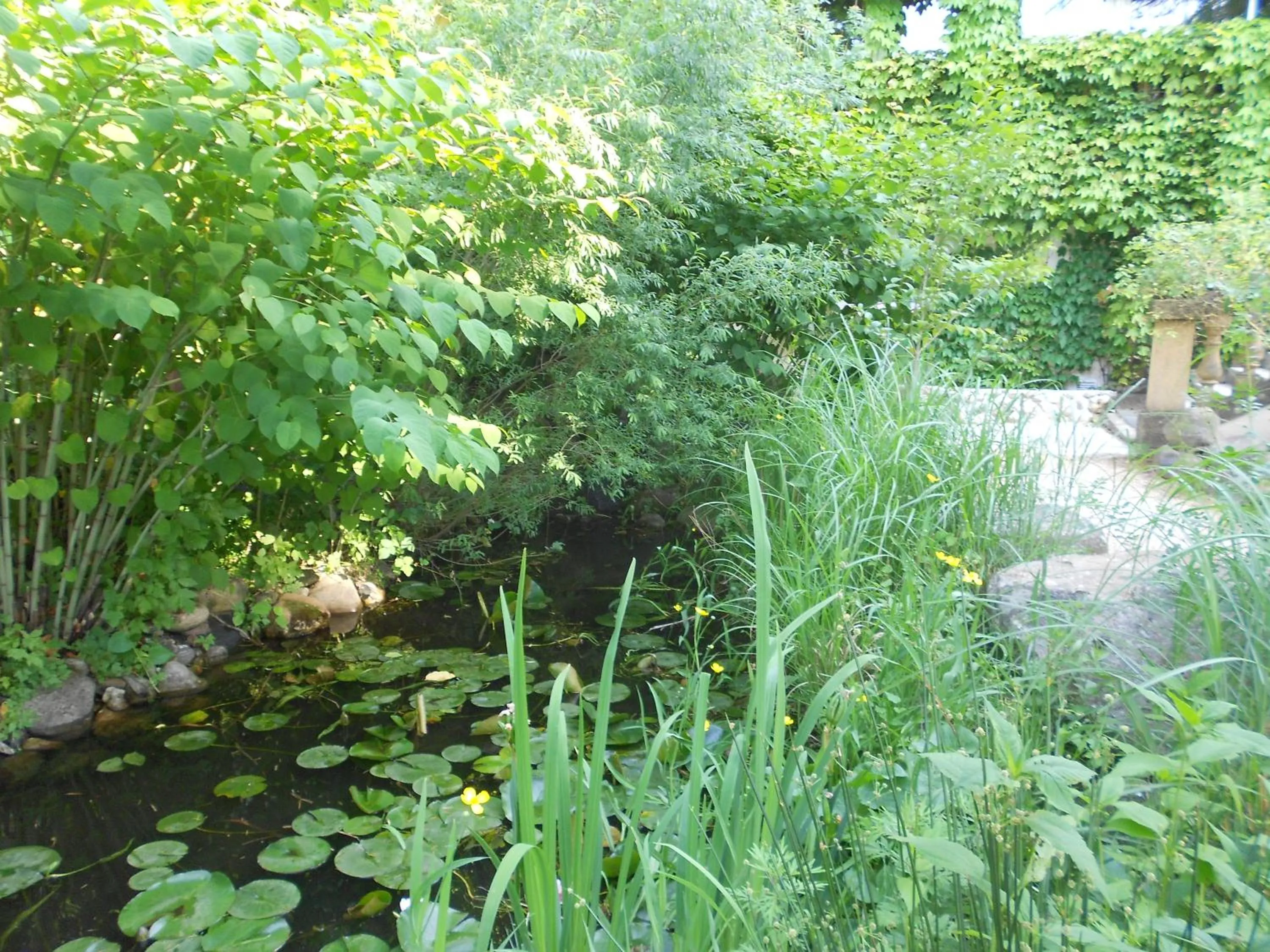 Facade/entrance in Apart'Hôtel Les 4 Sources