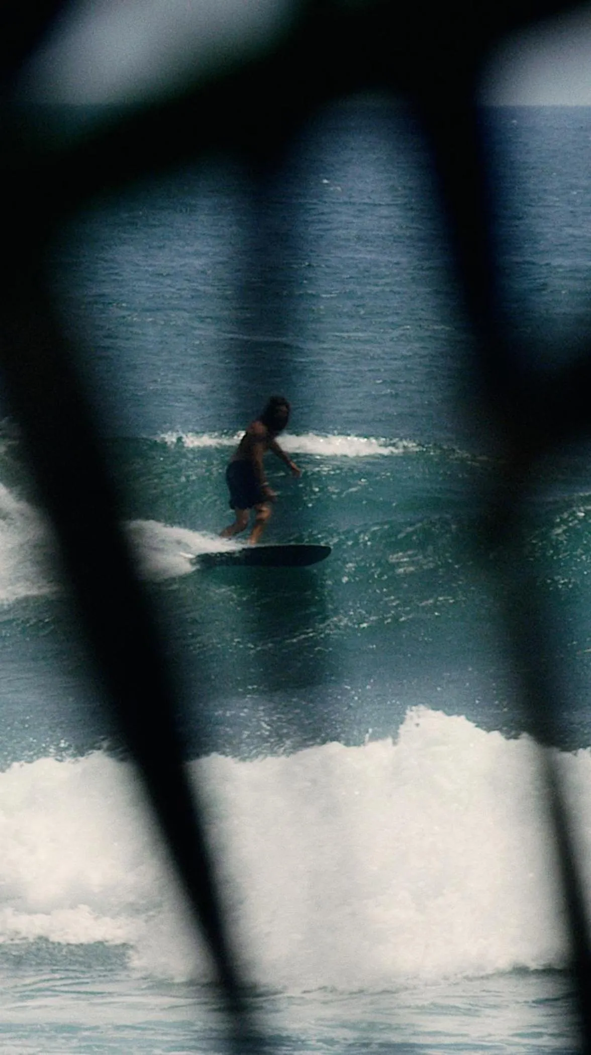 Natural landscape in Surf Motel