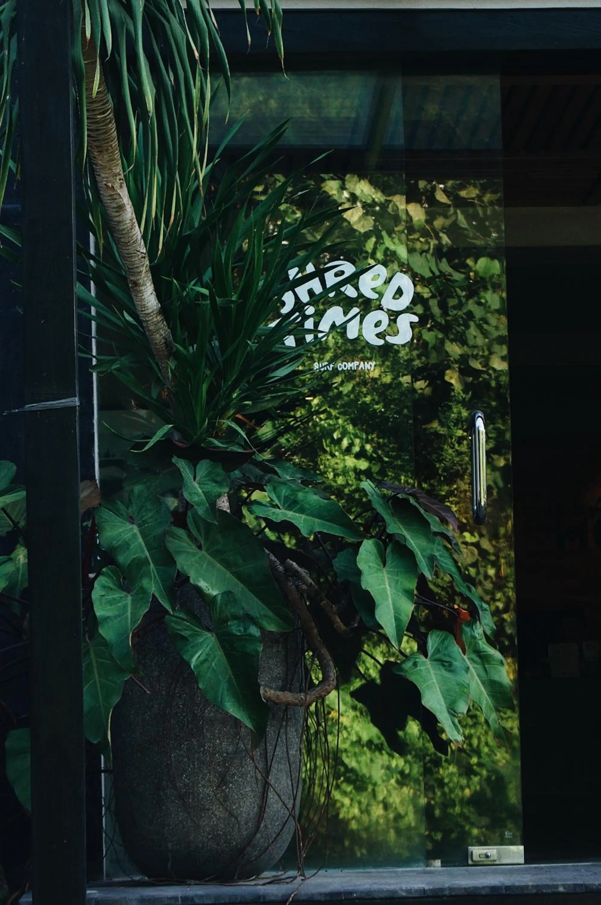 Facade/entrance in Surf Motel