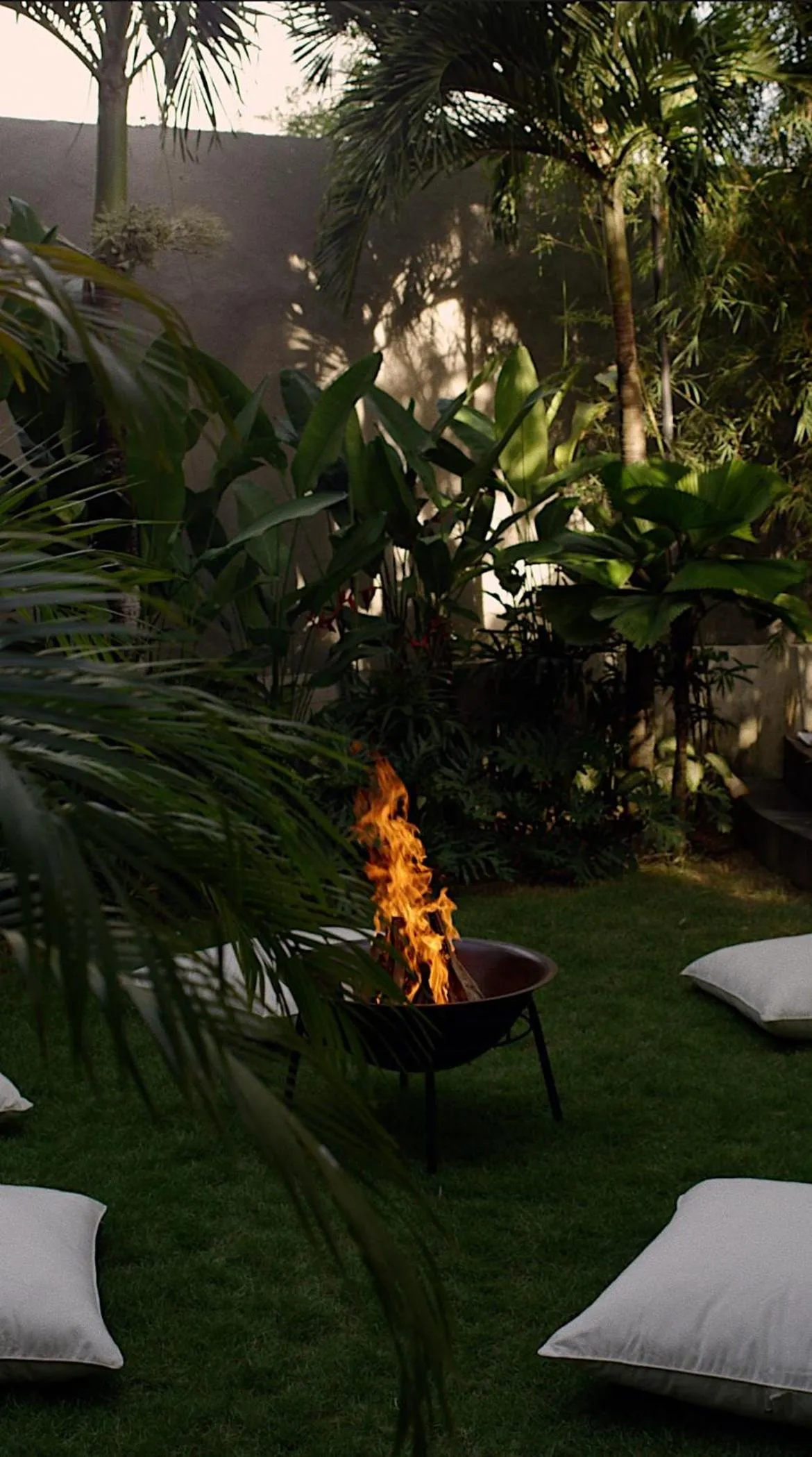 Natural landscape in Surf Motel