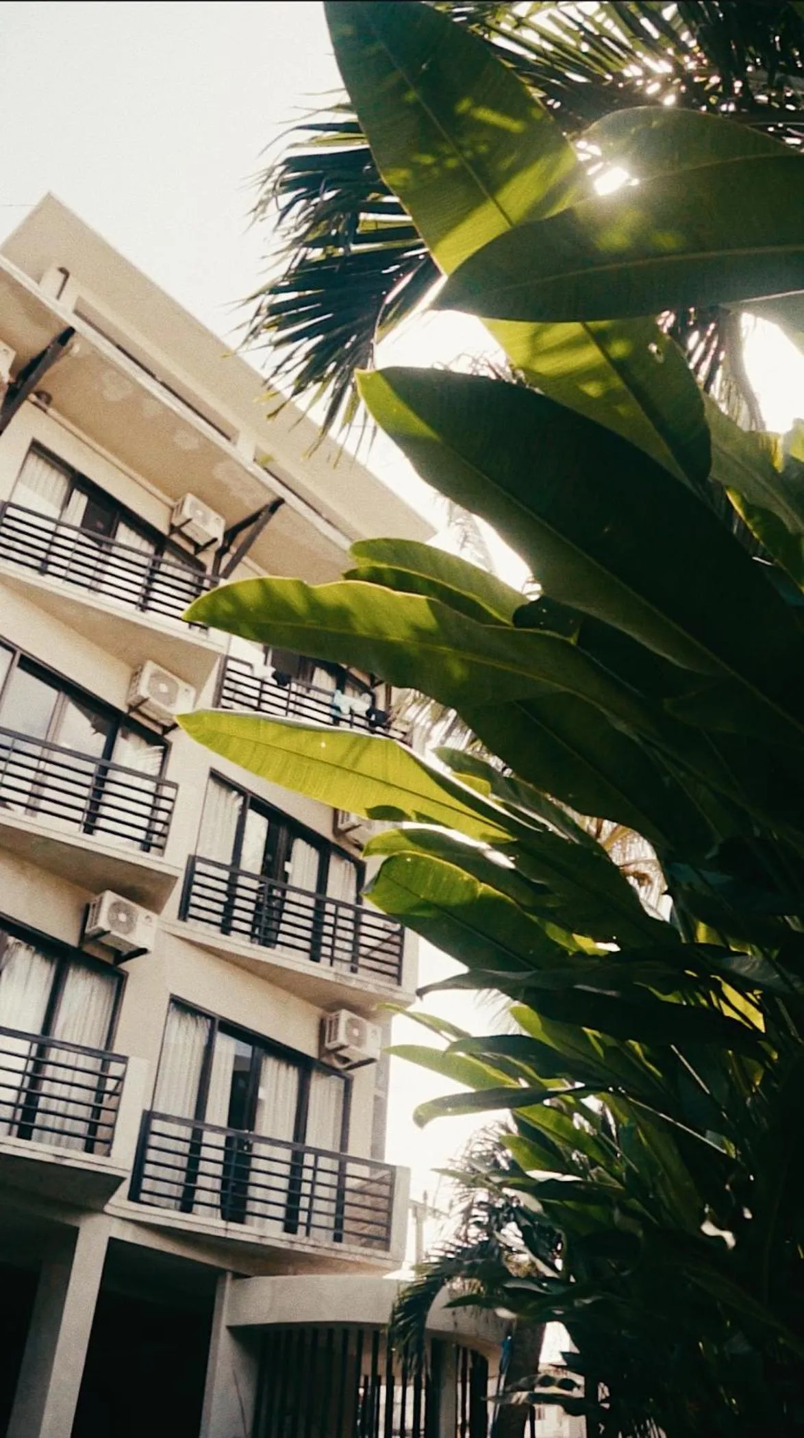 Property building in Surf Motel