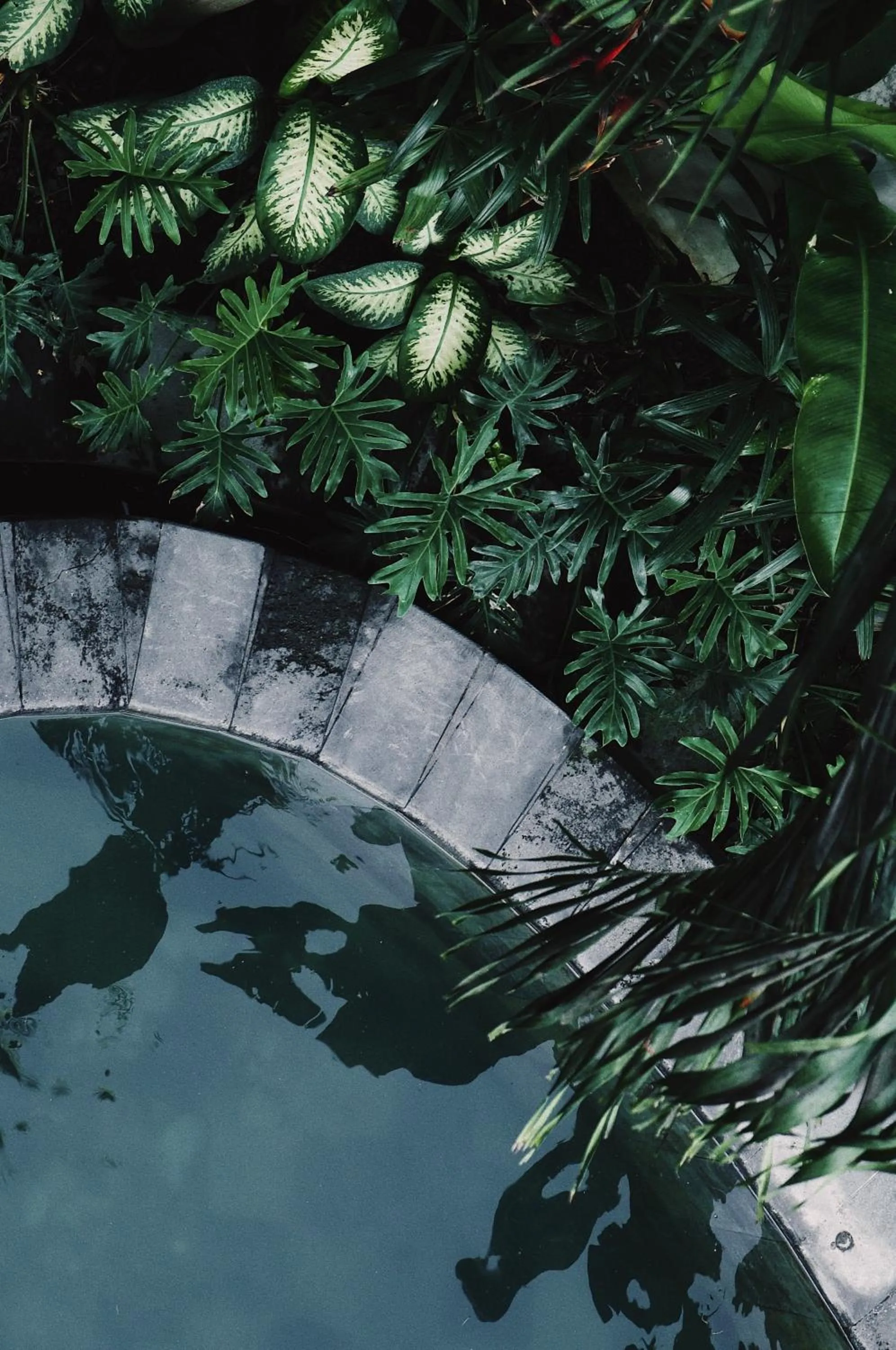 Pool view in Surf Motel