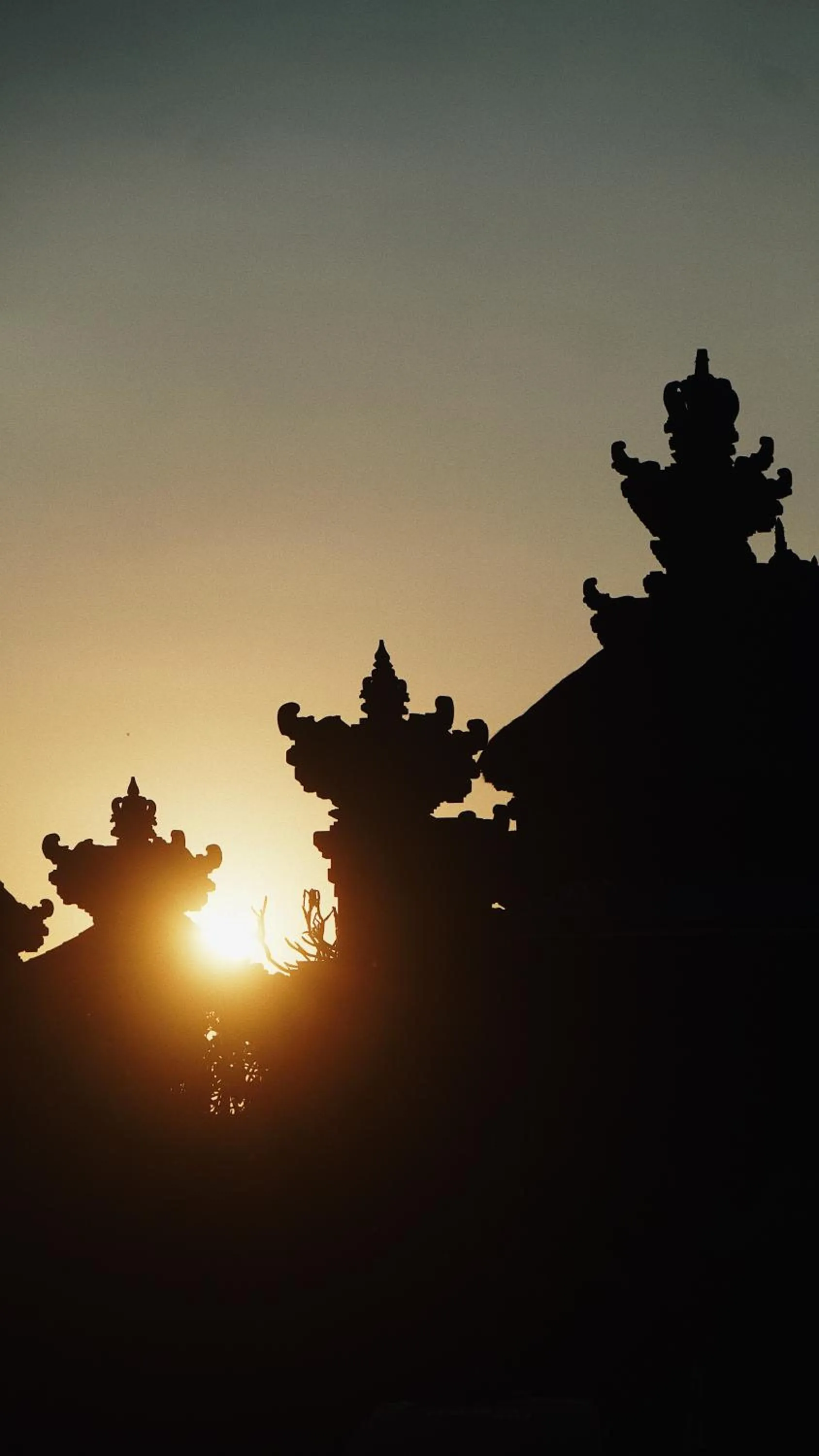 Natural landscape in Surf Motel