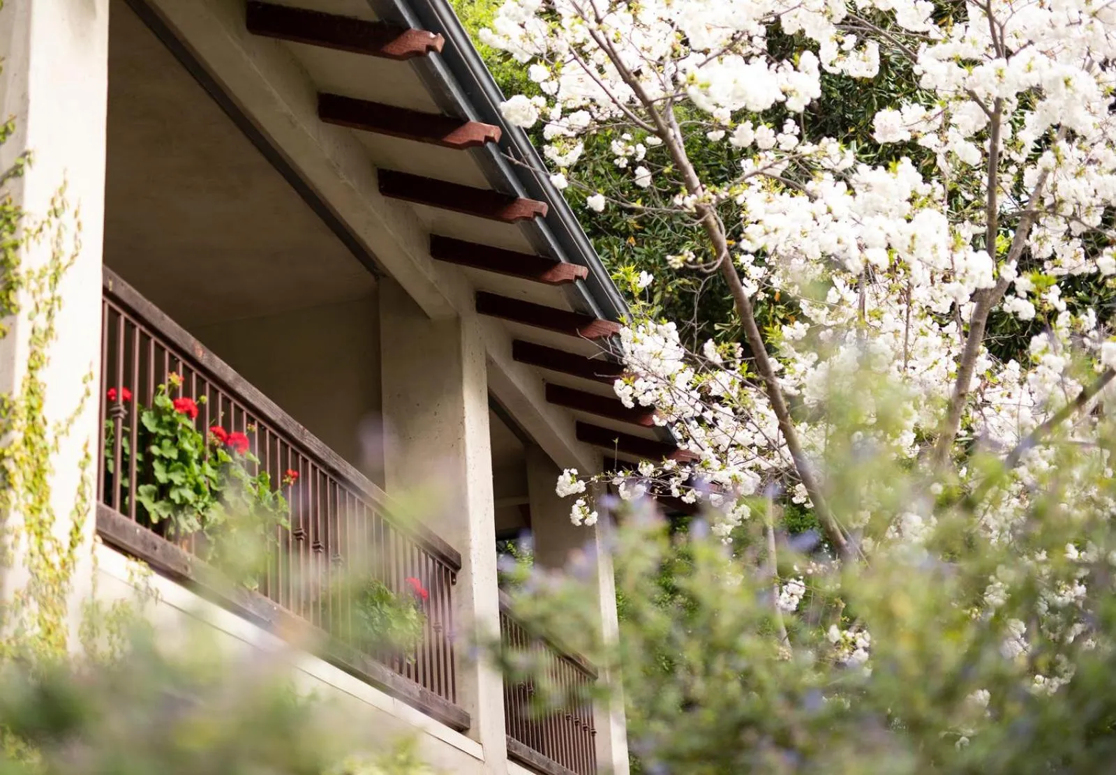 Balcony/Terrace in Appellation Lodi - Wine & Roses Resort and Spa