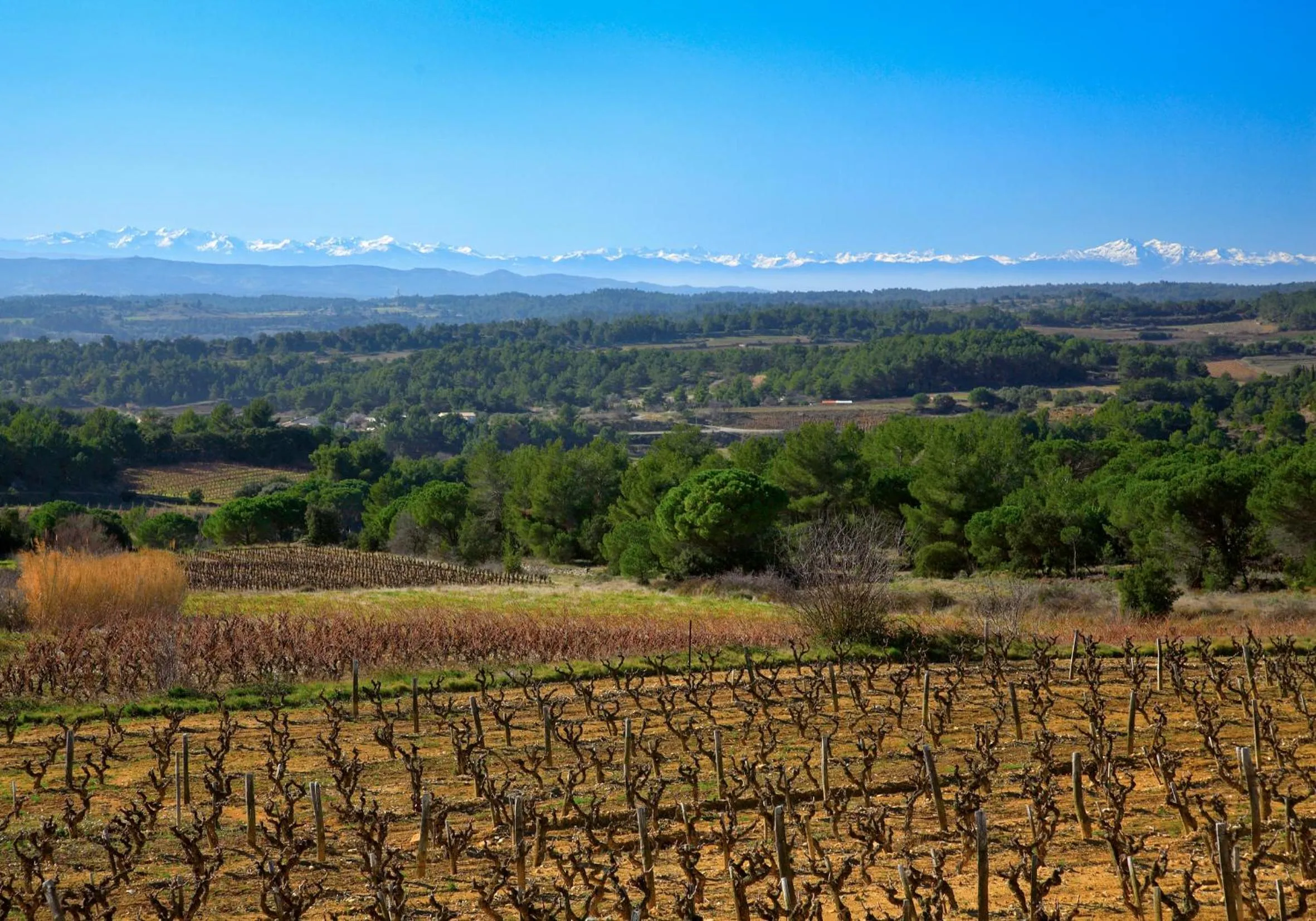 Contact Hôtel Le Minervois - Hôtel & Restaurant Au nord de Carcassonne