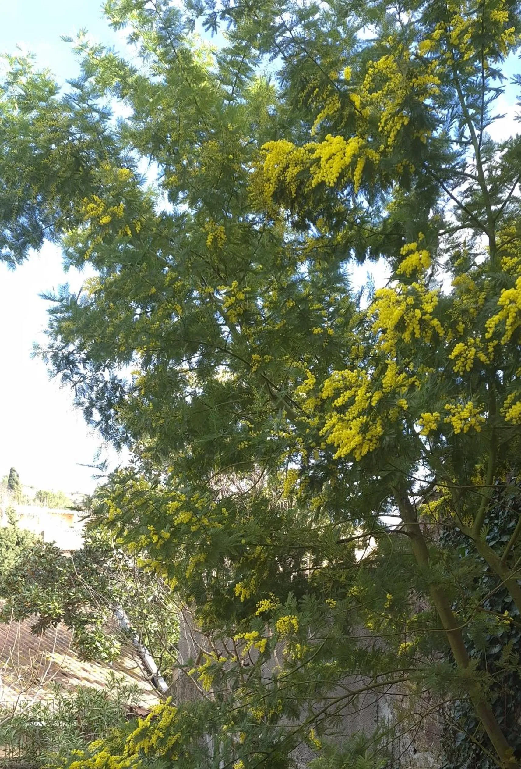 Spring in Contact Hôtel Le Minervois - Hôtel & Restaurant Au nord de Carcassonne