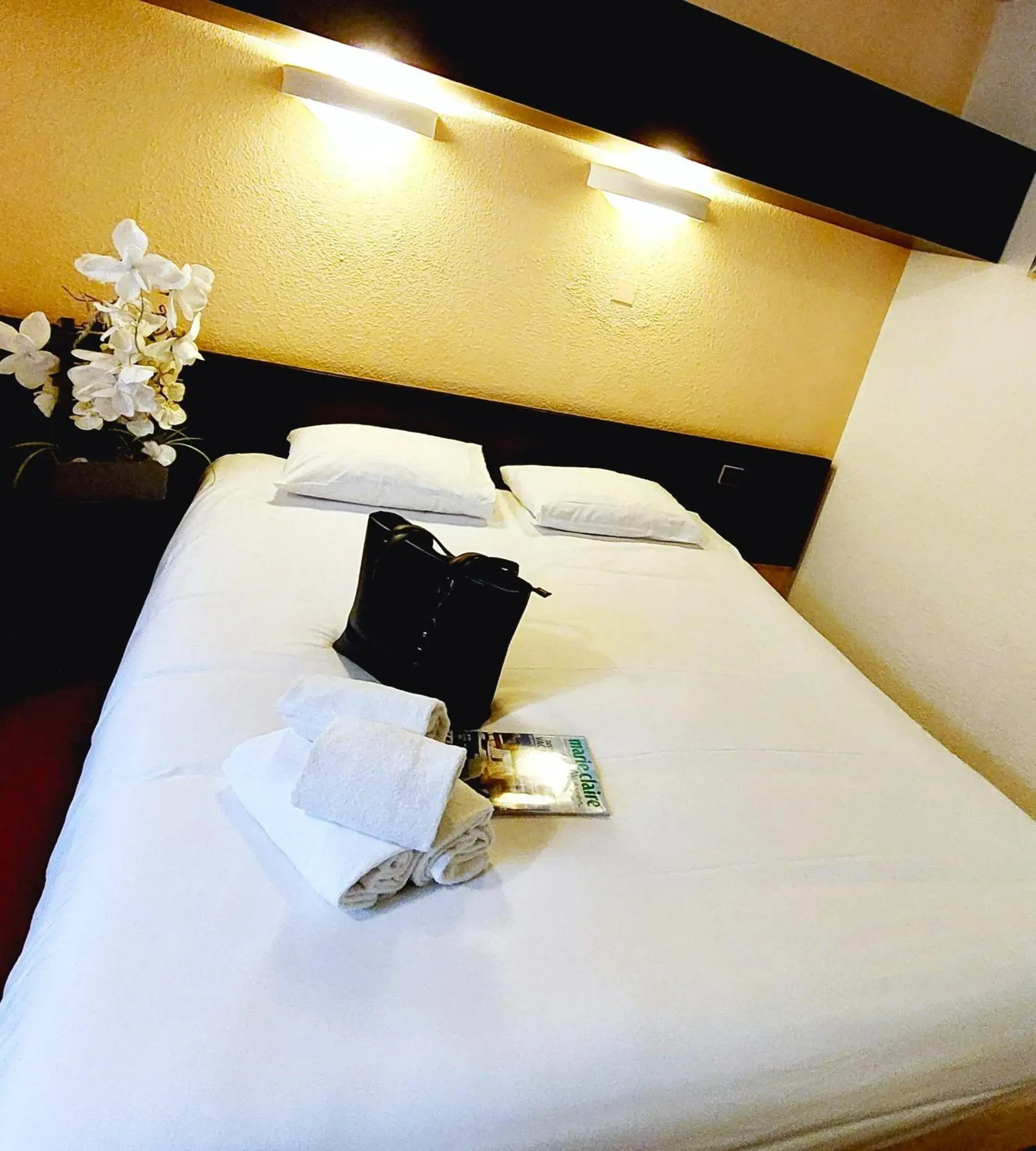 Double Room in Hôtel du Parc Limoges & Restaurant "Le temps d'une pause" Double Room in Hôtel du Parc Limoges & Restaurant "Le temps d'une pause"