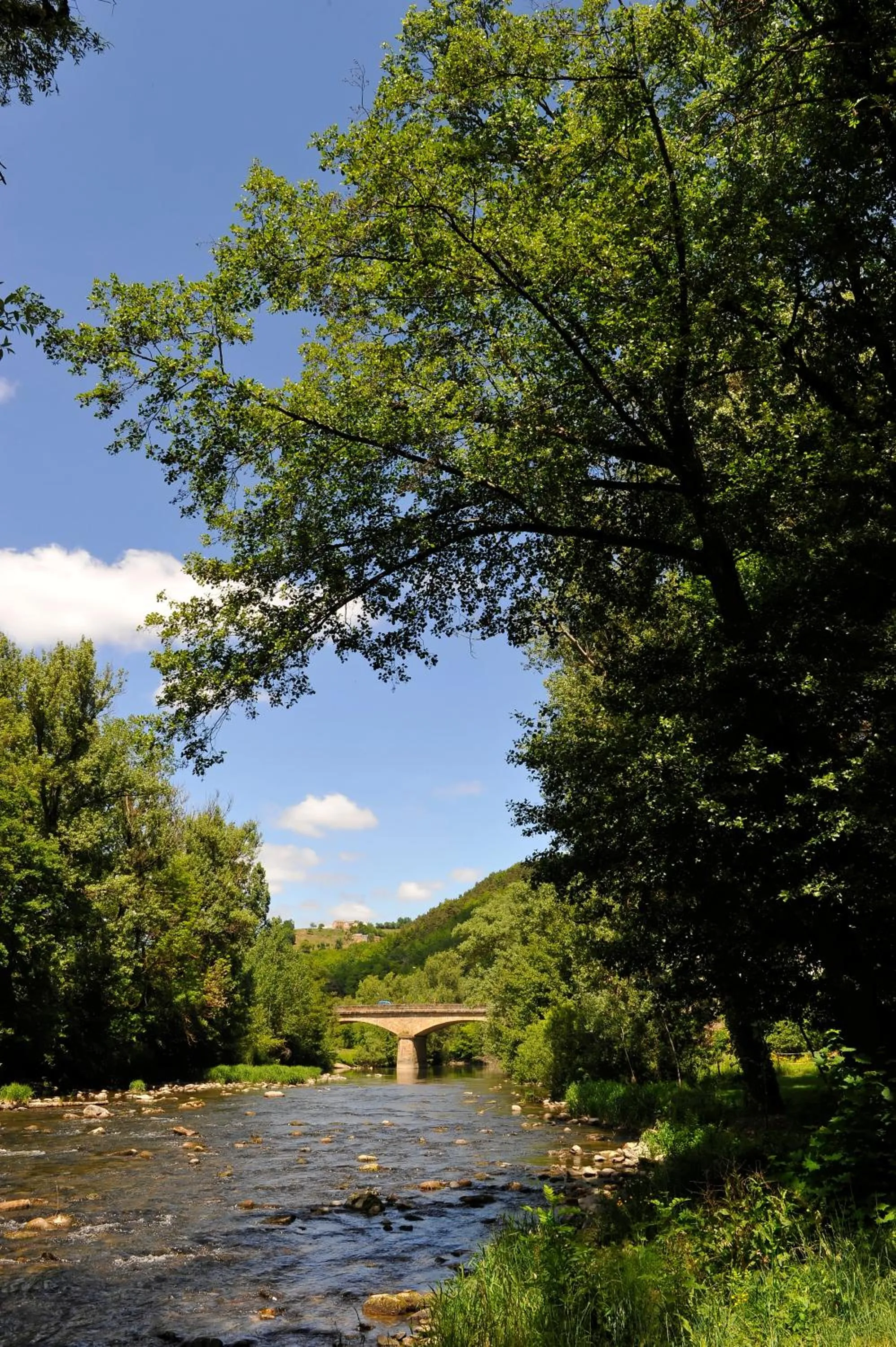 Natural landscape in Logis Hôtel Restaurant Les 2 Rives - A75, en bordure de rivière