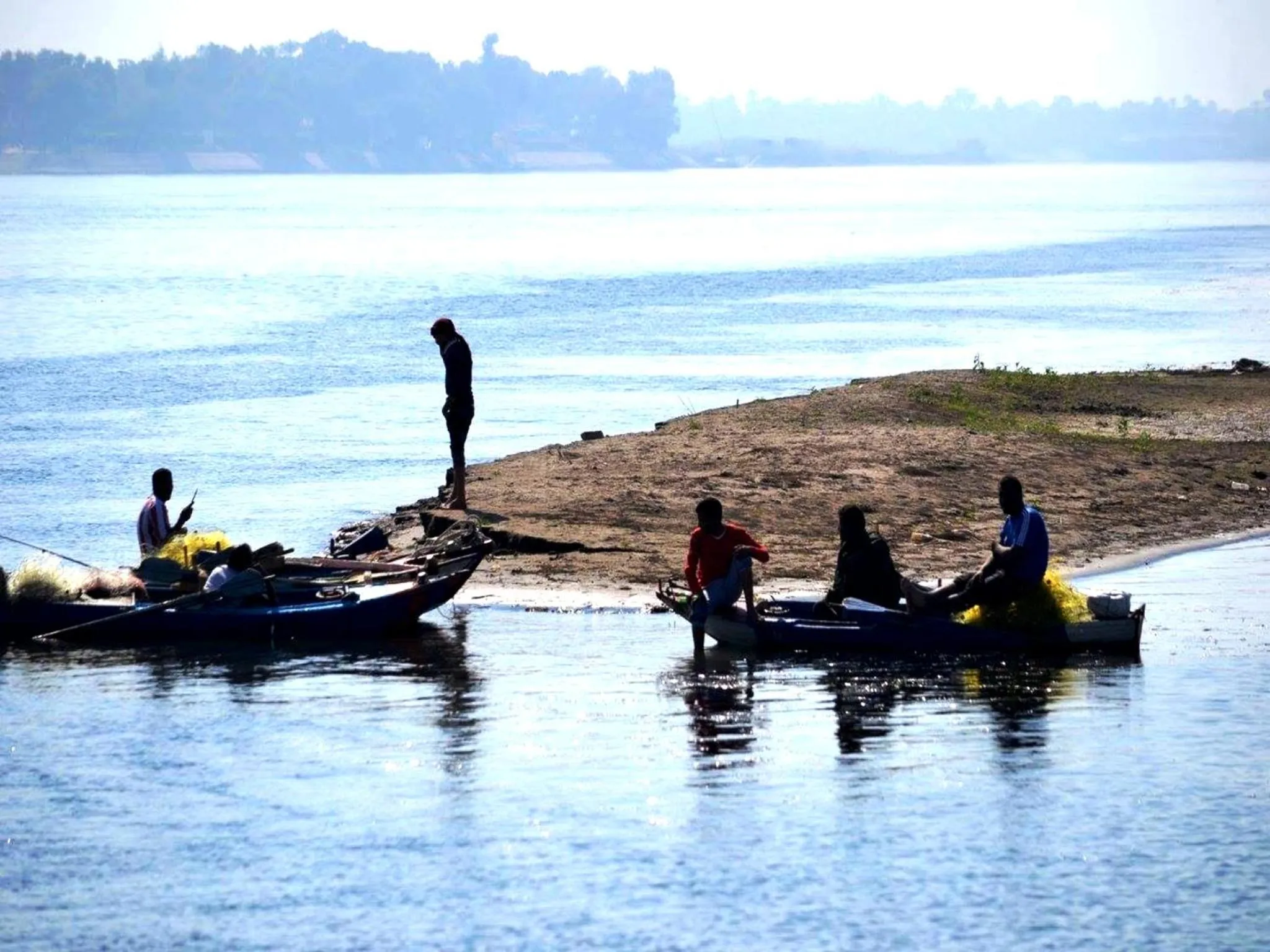 Animals in Jewel Howard Carter Hotel