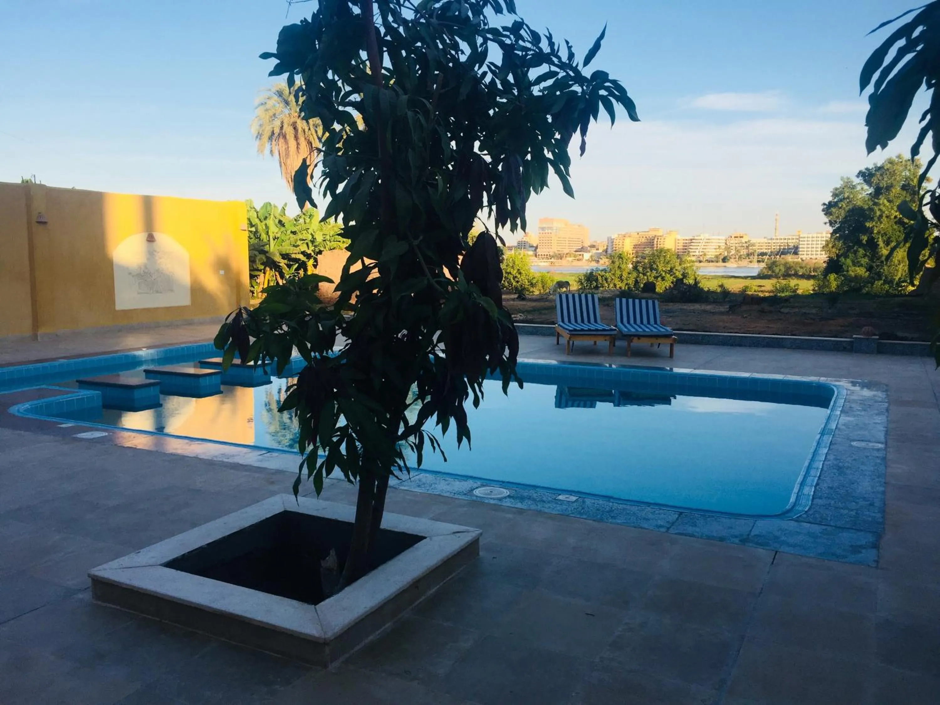 Swimming pool in Jewel Howard Carter Hotel